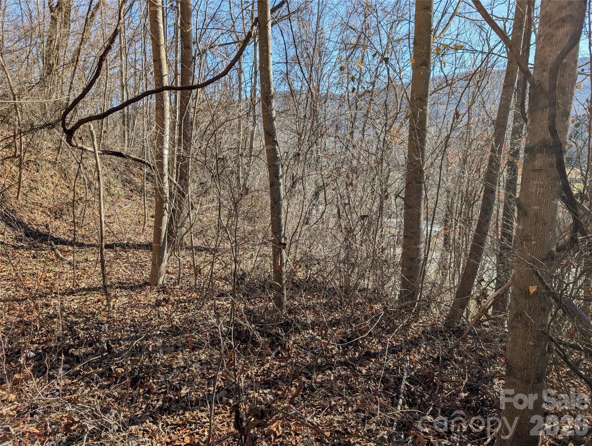 00 Great Smoky Mountain Expy Highway Property Photo 4