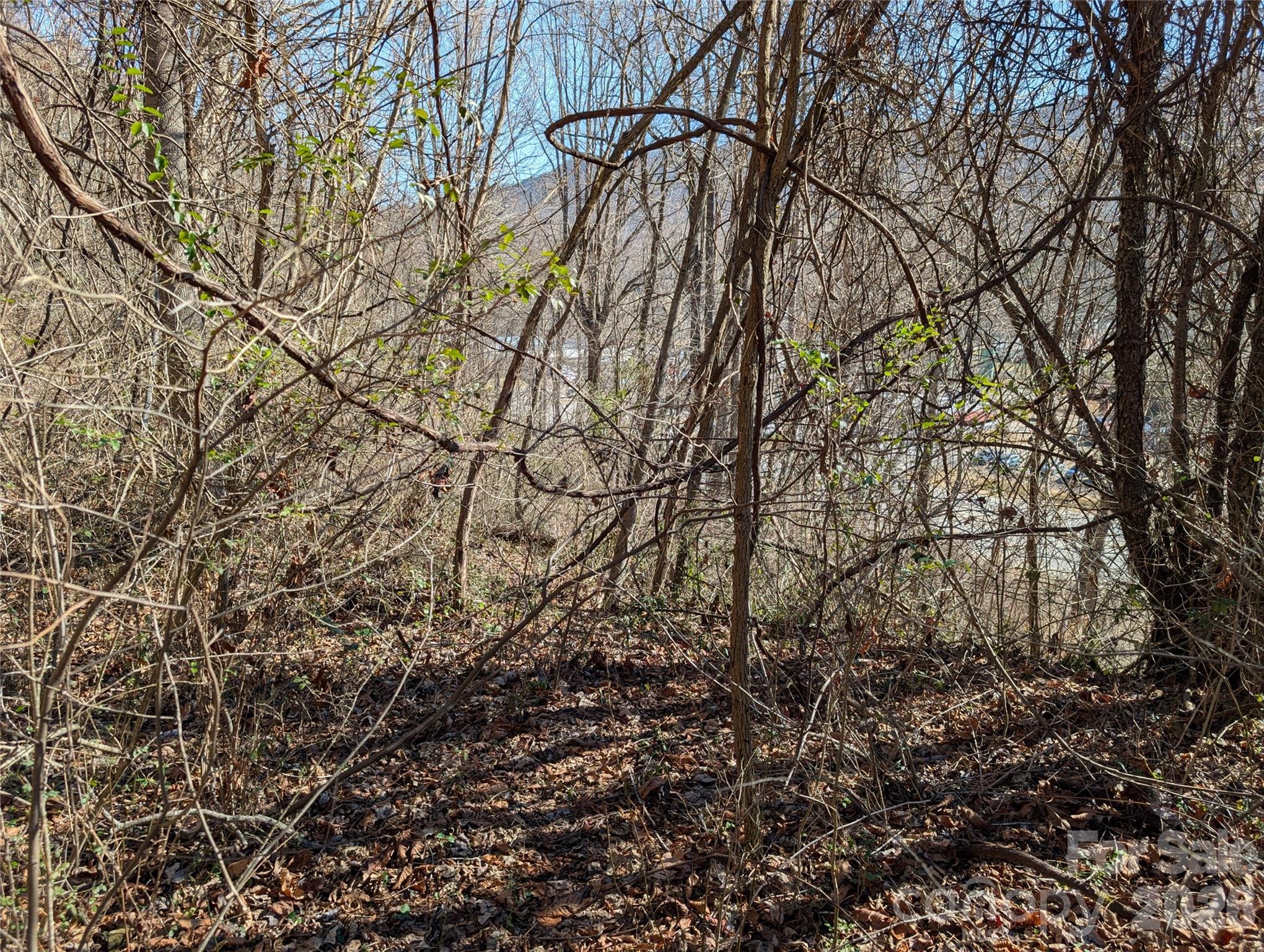 00 Great Smoky Mountain Expy Highway Property Photo 5