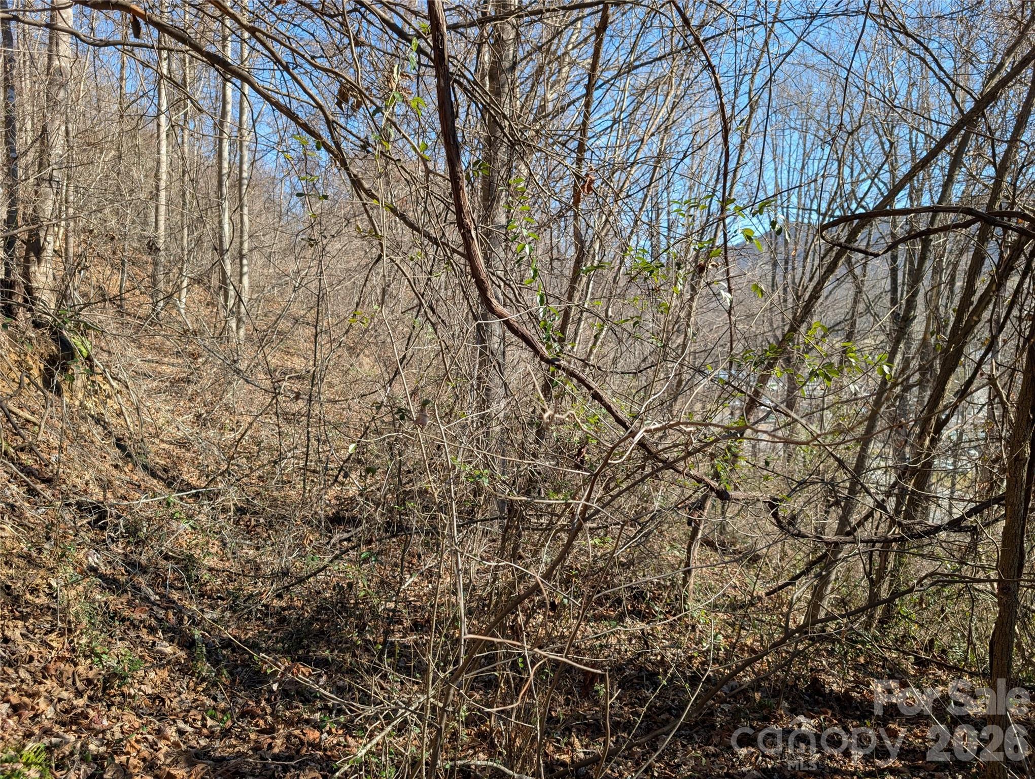 00 Great Smoky Mountain Expy Highway Property Photo 6