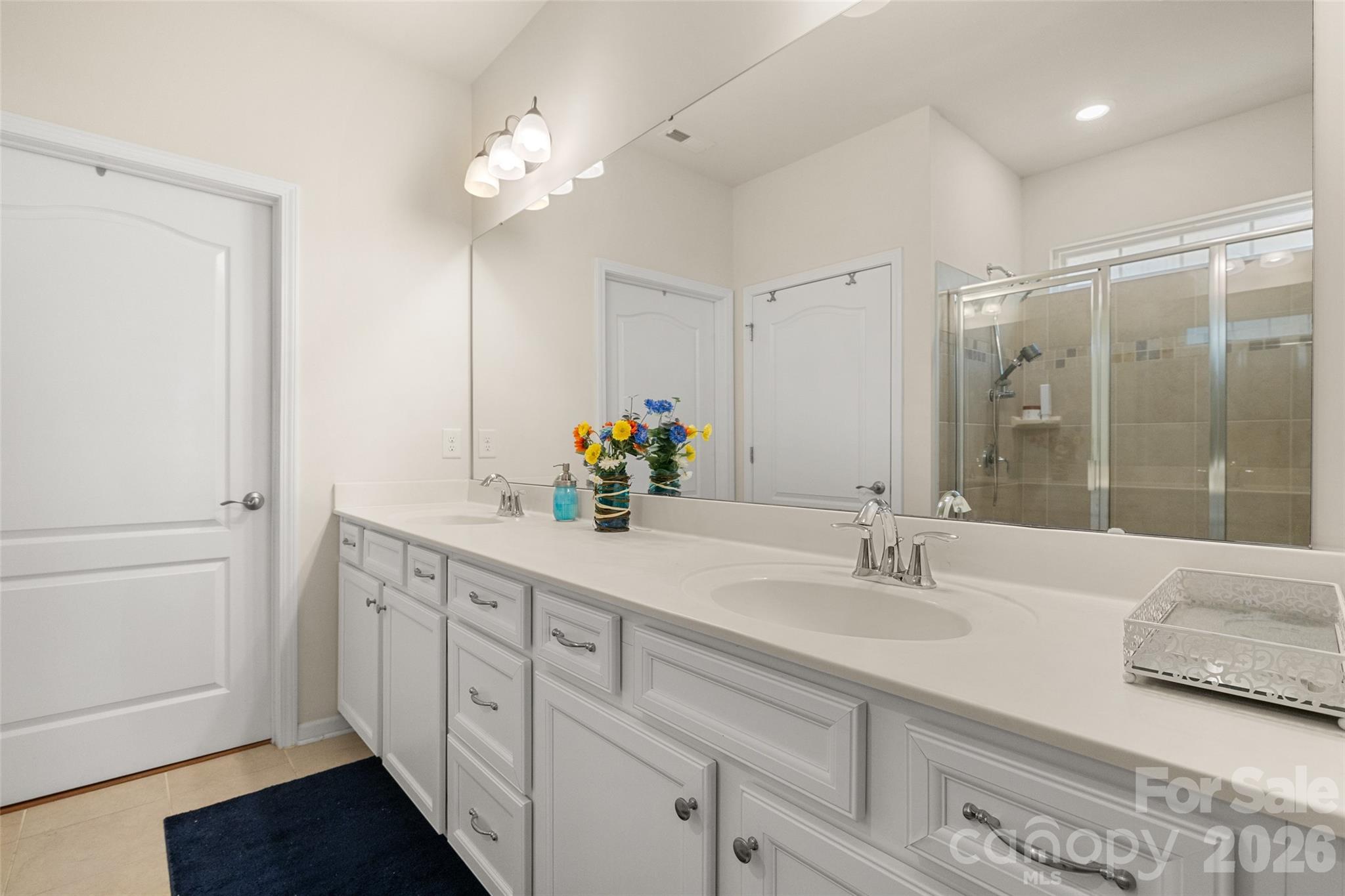 9053 Blue Dasher Drive Property Photo 19