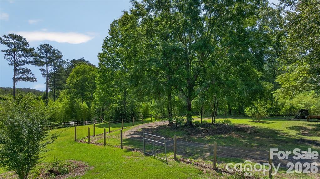 66 Misery Ridge Trail Property Photo 7