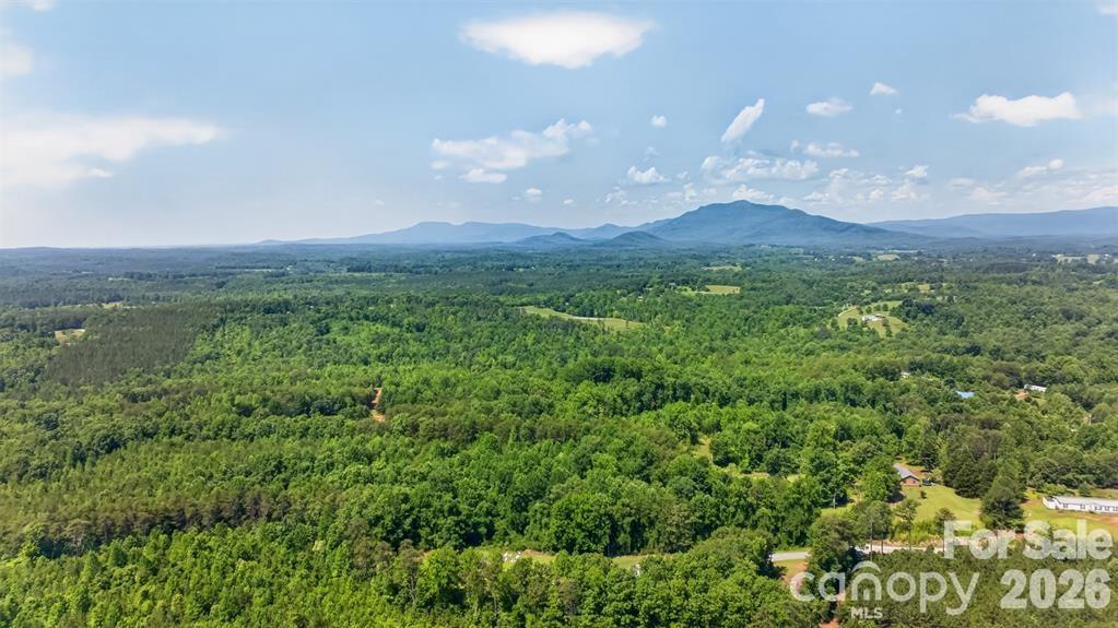66 Misery Ridge Trail Property Photo 36