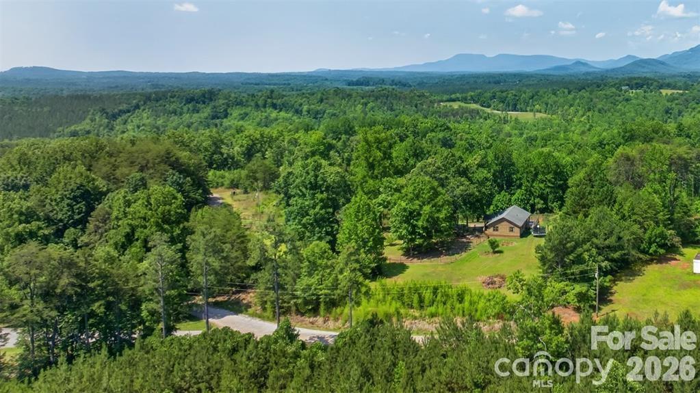 66 Misery Ridge Trail Property Photo 37