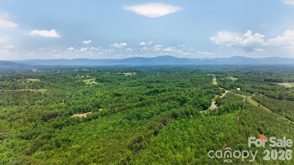 66 Misery Ridge Trail Property Photo 38