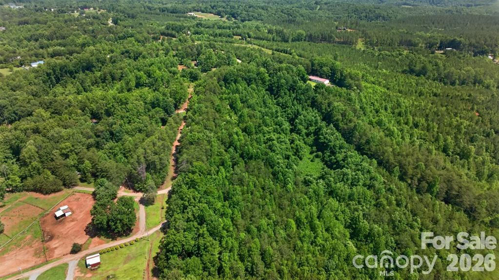 66 Misery Ridge Trail Property Photo 40