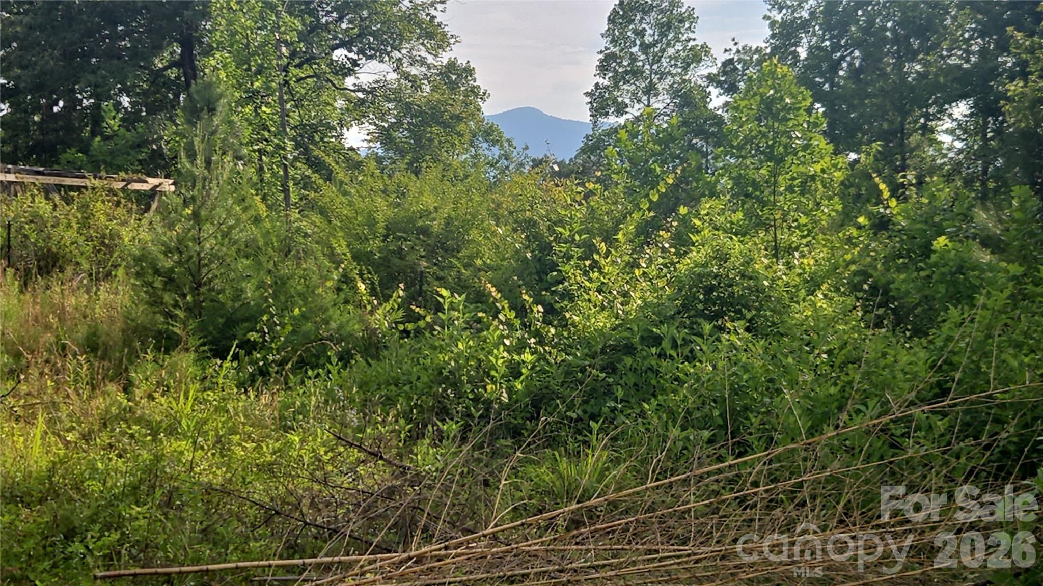 66 Misery Ridge Trail Property Photo 46