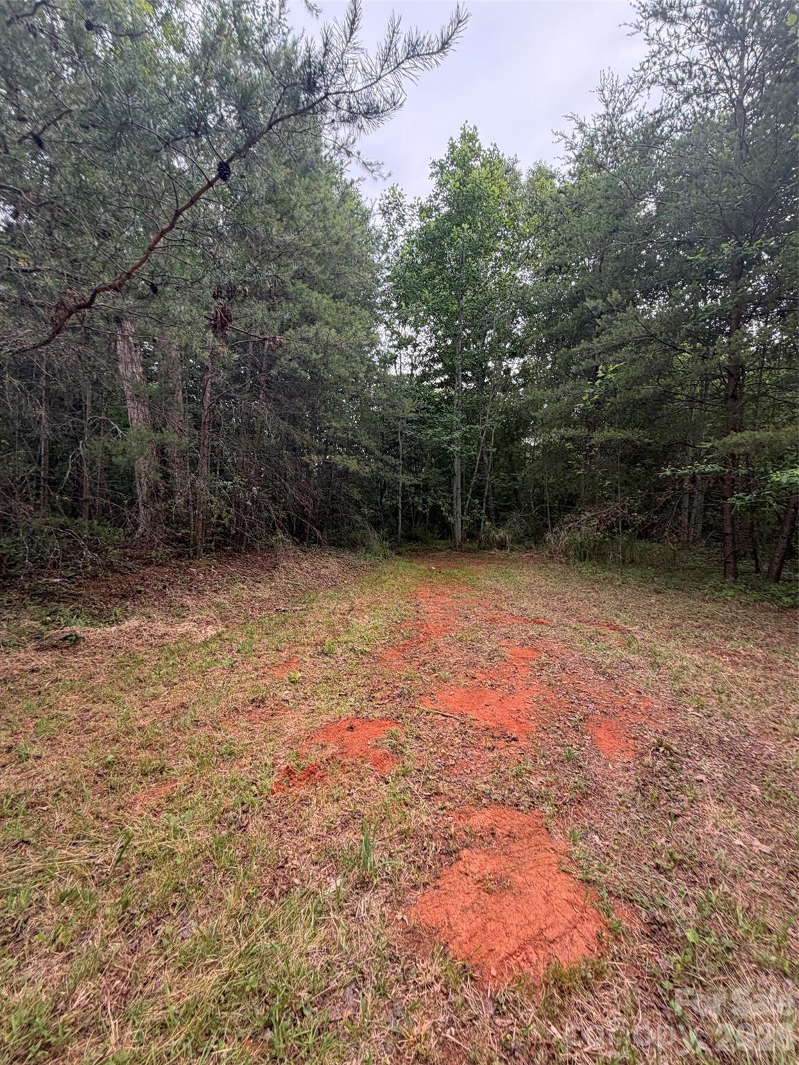 Lot 7 Parker Padgett Road Property Photo 4