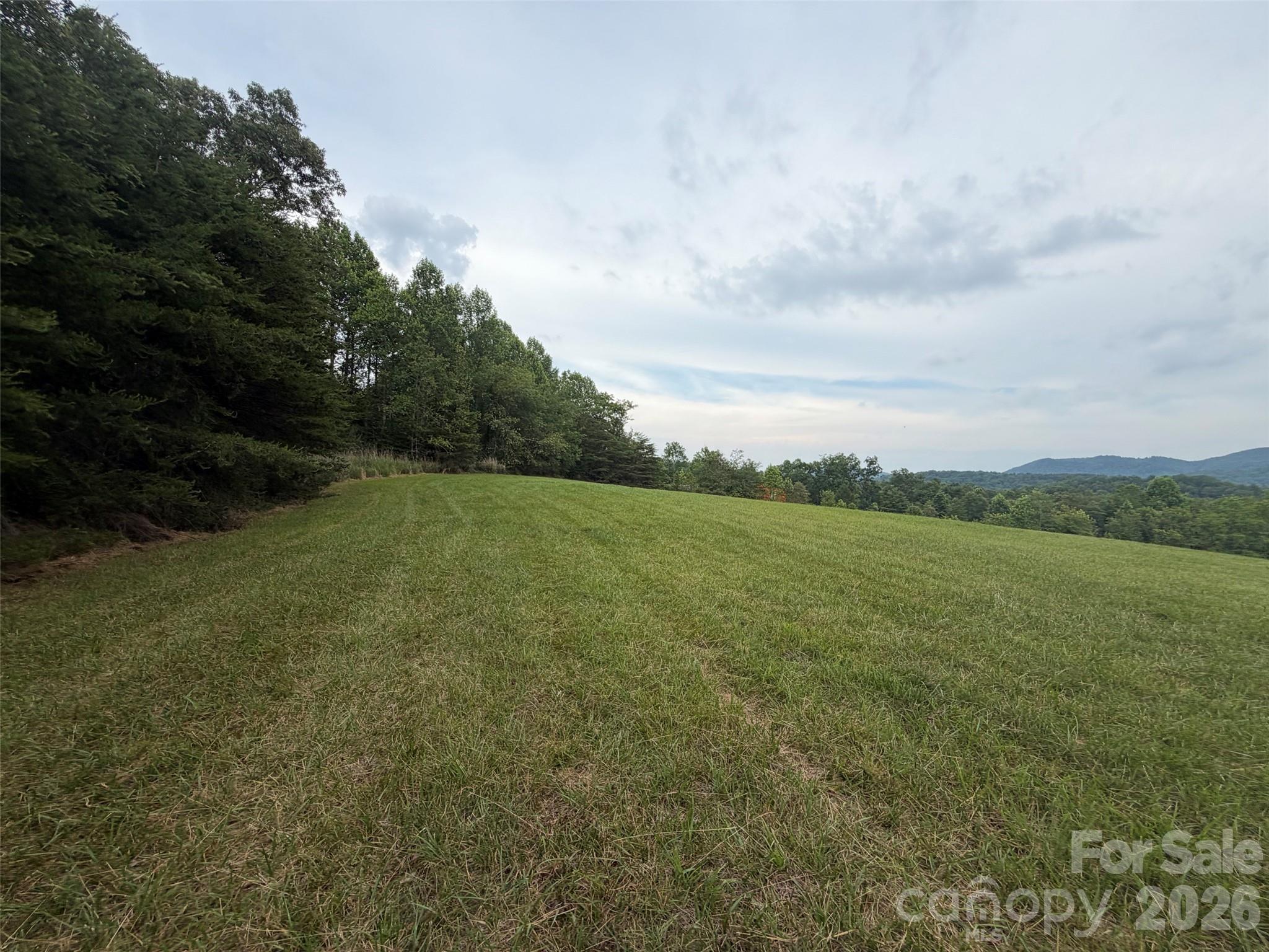 Lot 7 Parker Padgett Road Property Photo 6