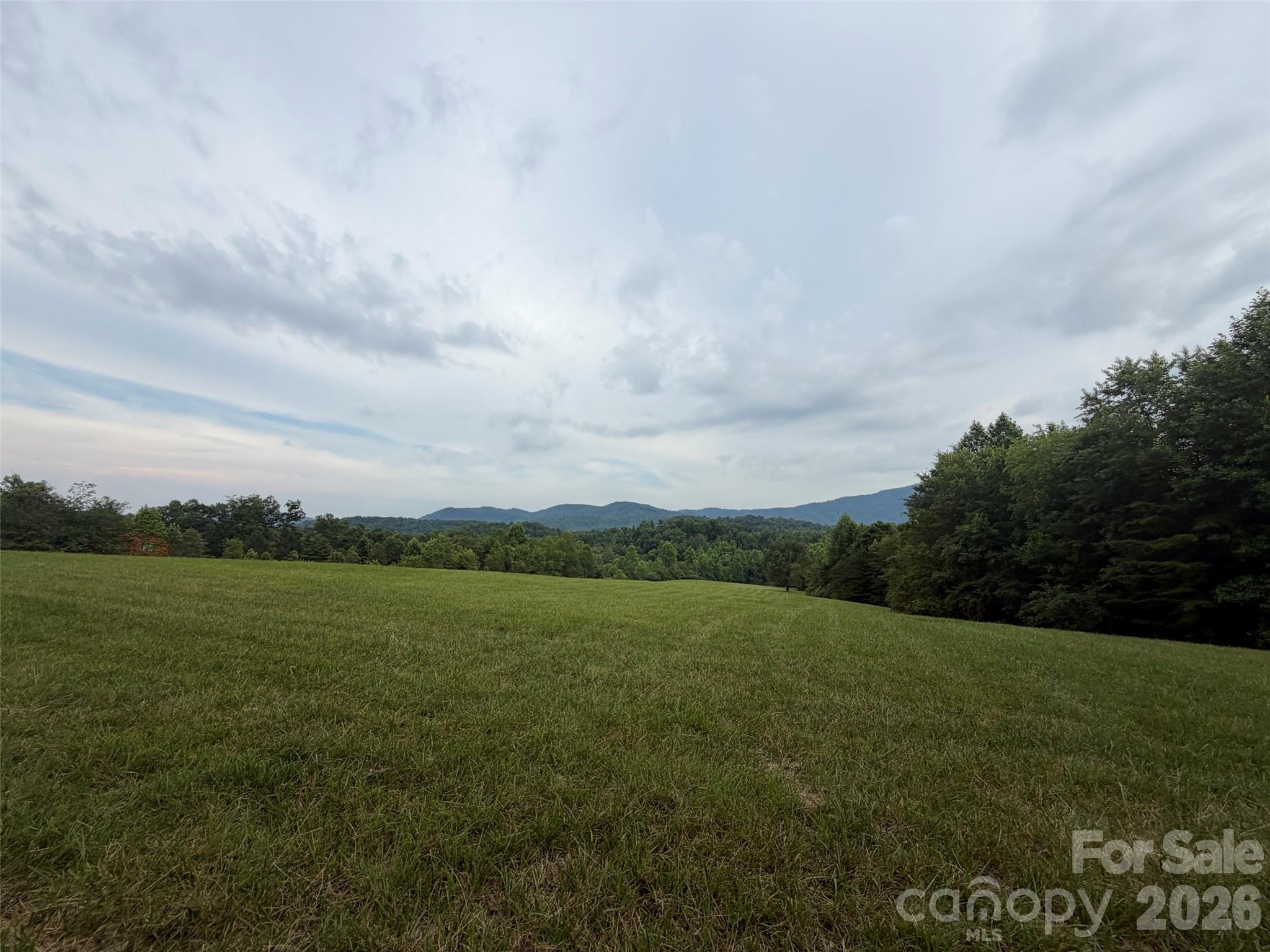 Lot 7 Parker Padgett Road Property Photo 7