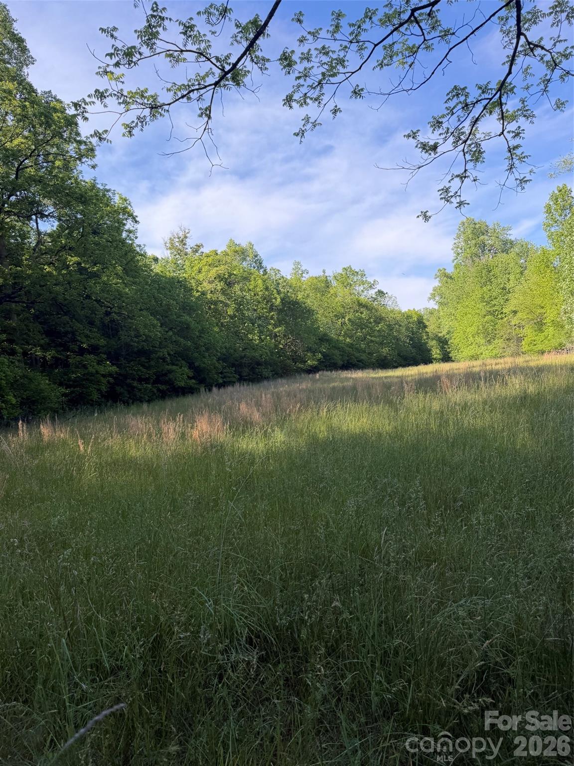 Lot 8 Parker Padgett Road Property Photo 8