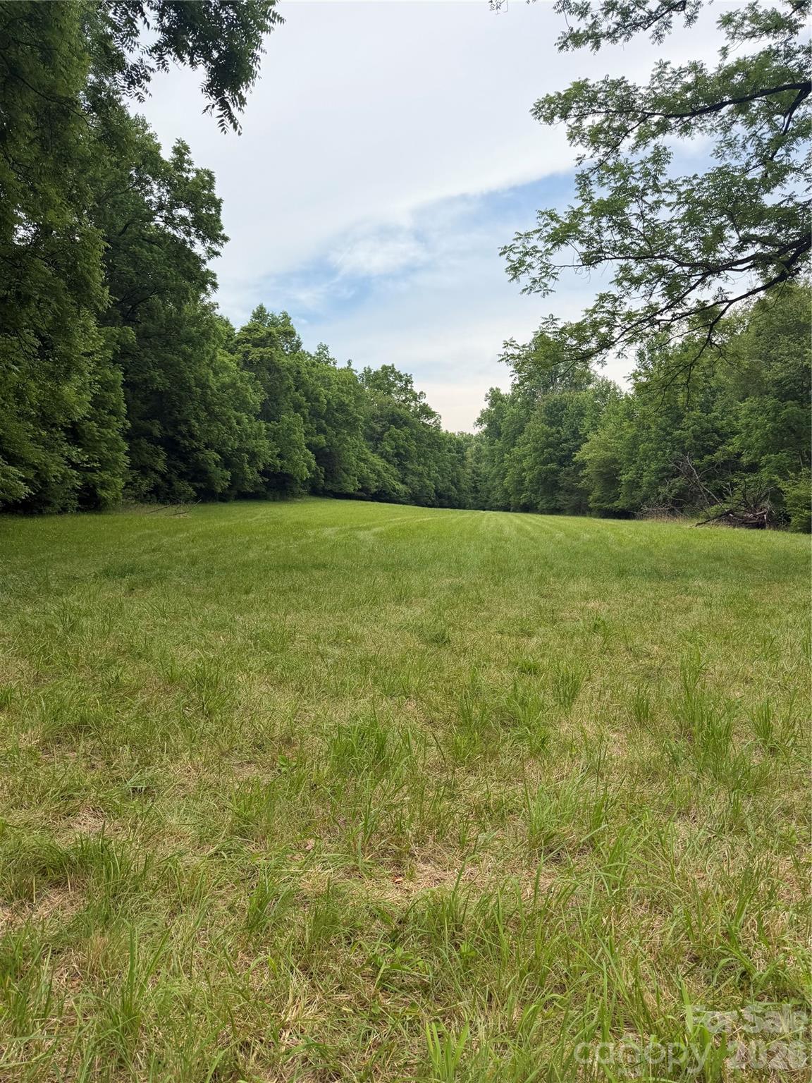 Lot 8 Parker Padgett Road Property Photo 13