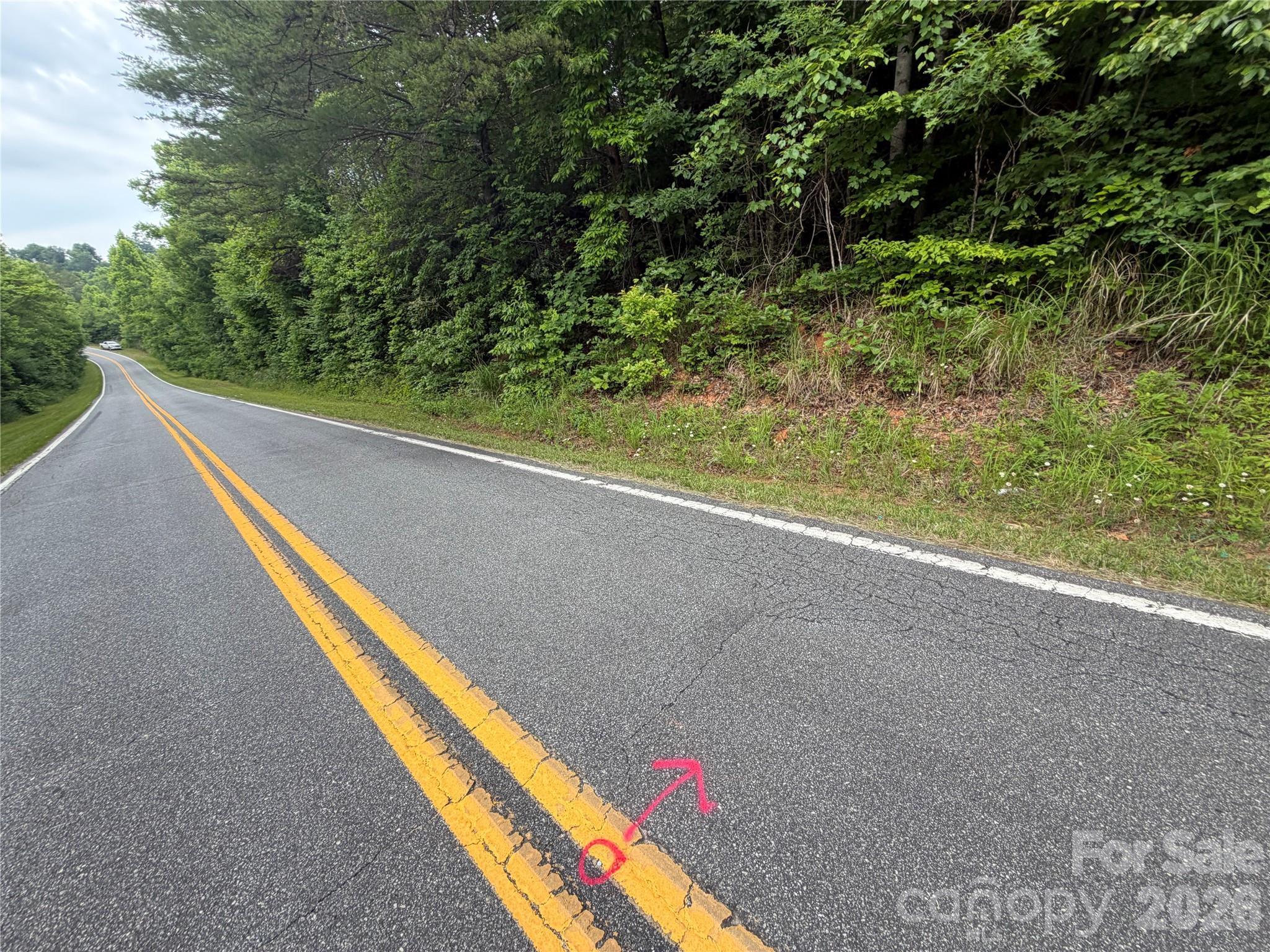 Lot 10 Parker Padgett Road Property Photo 6