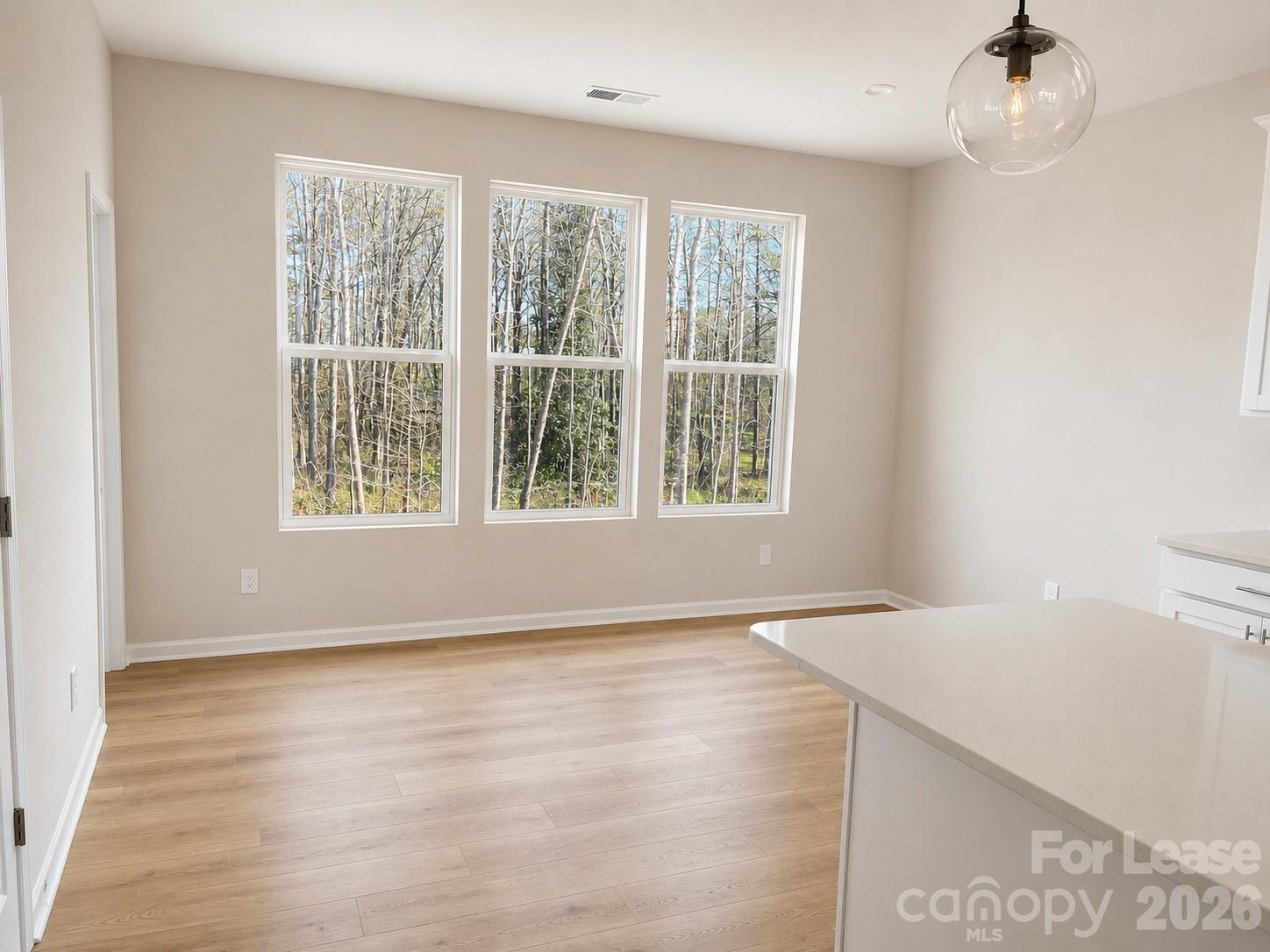 2332 Donnely Hills Lane Property Photo 6