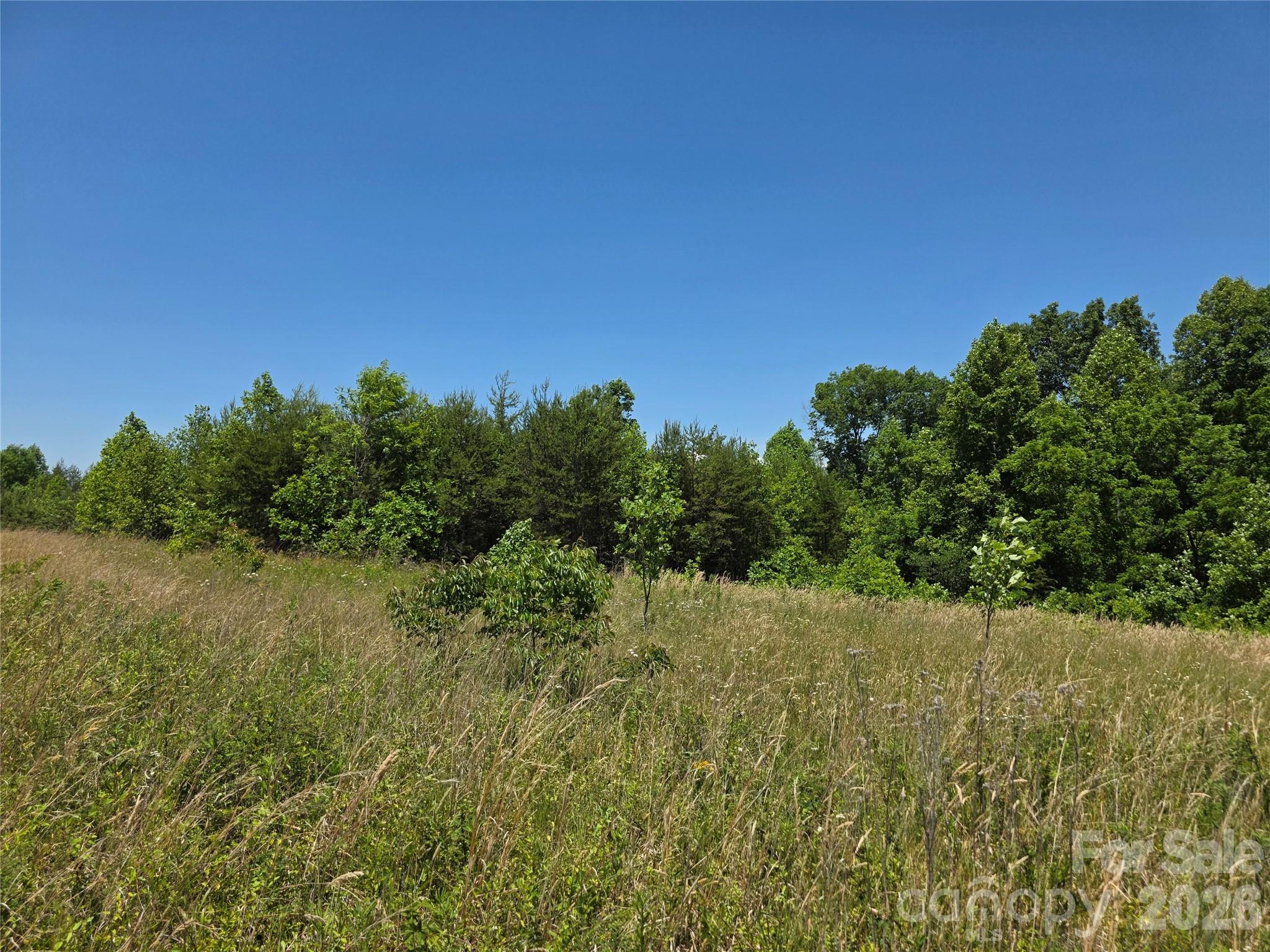 0 Moir Farm Road Property Photo 2