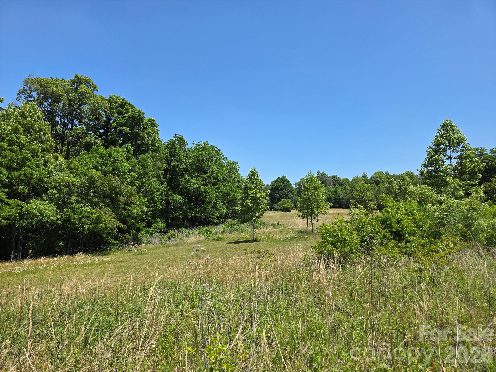 0 Moir Farm Road Property Photo 3