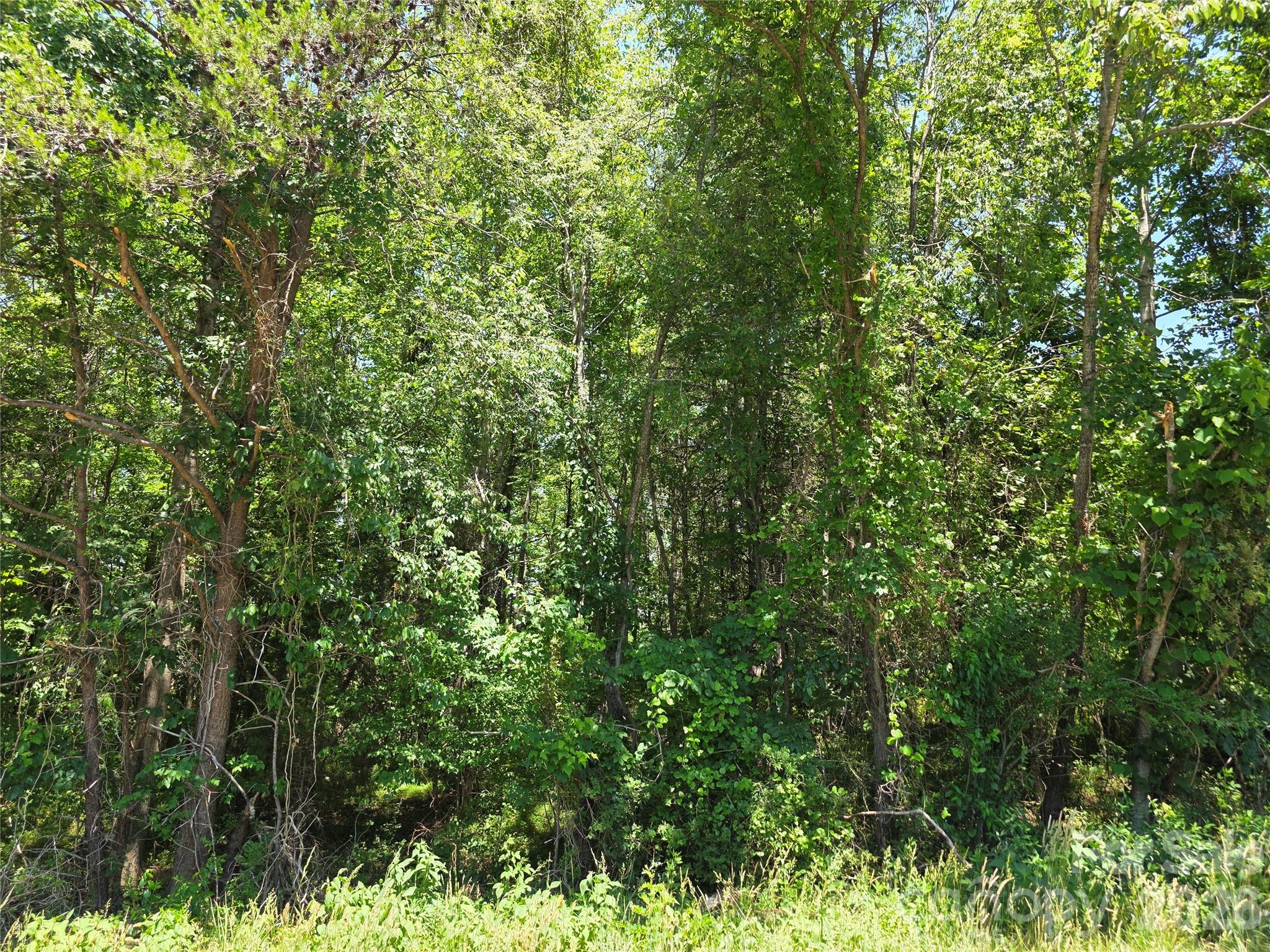 0 Moir Farm Road Property Photo 10