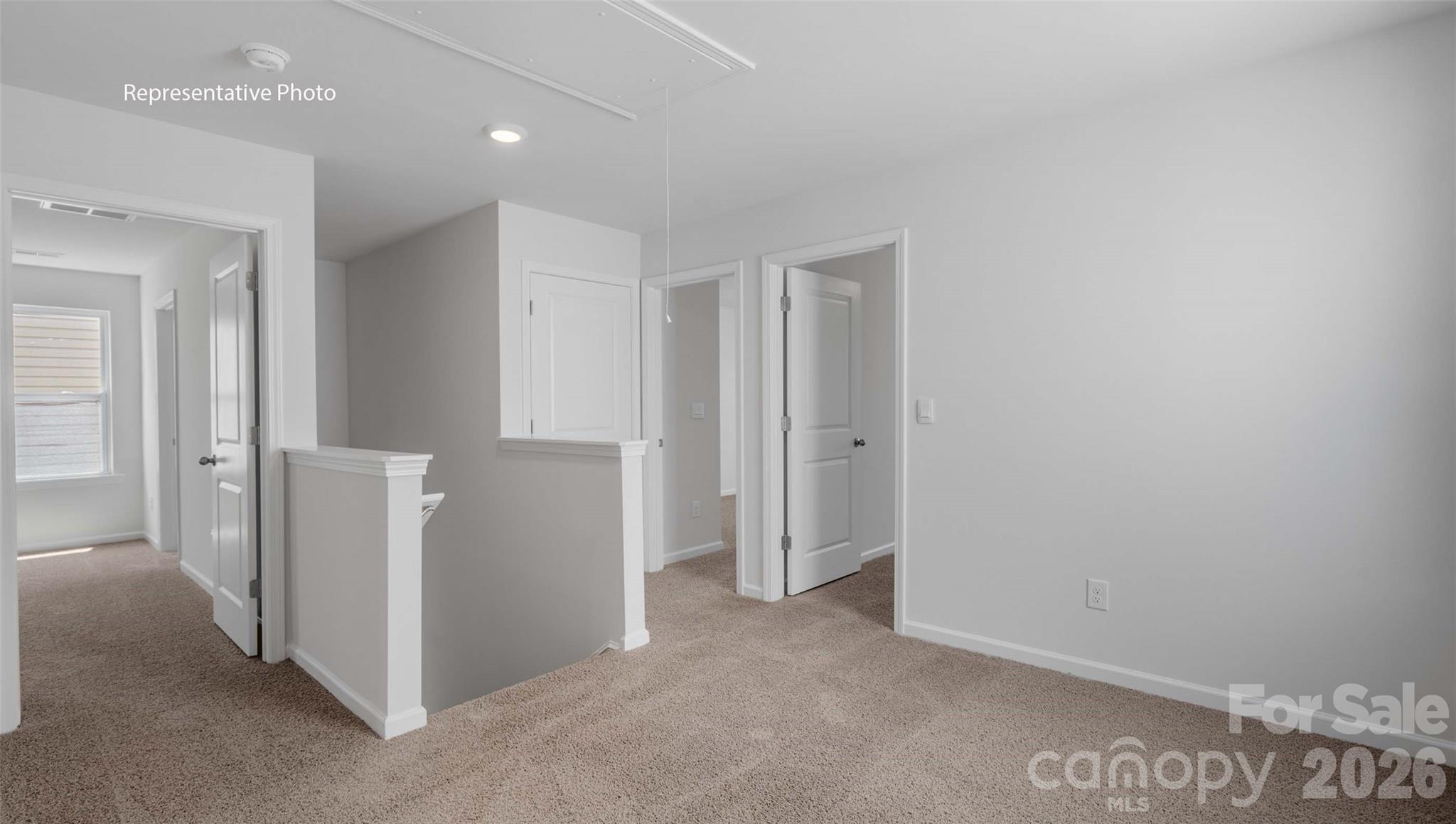 2833 Frances View Lane Property Photo 17