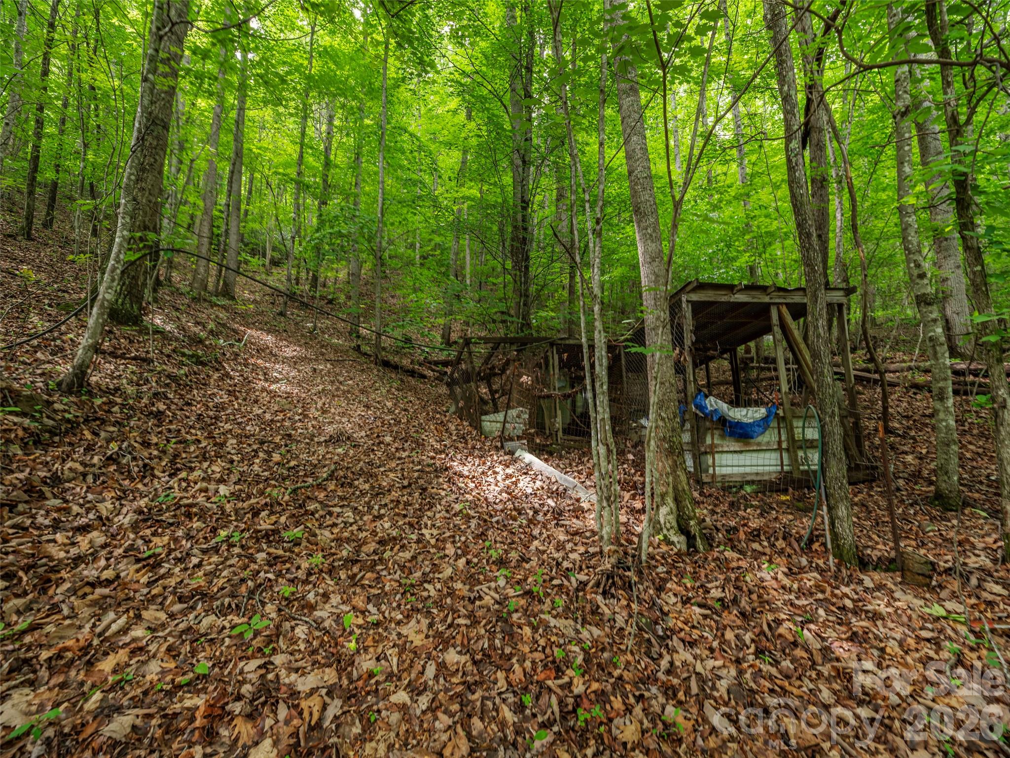 68 Long Ridge Road Property Photo 6