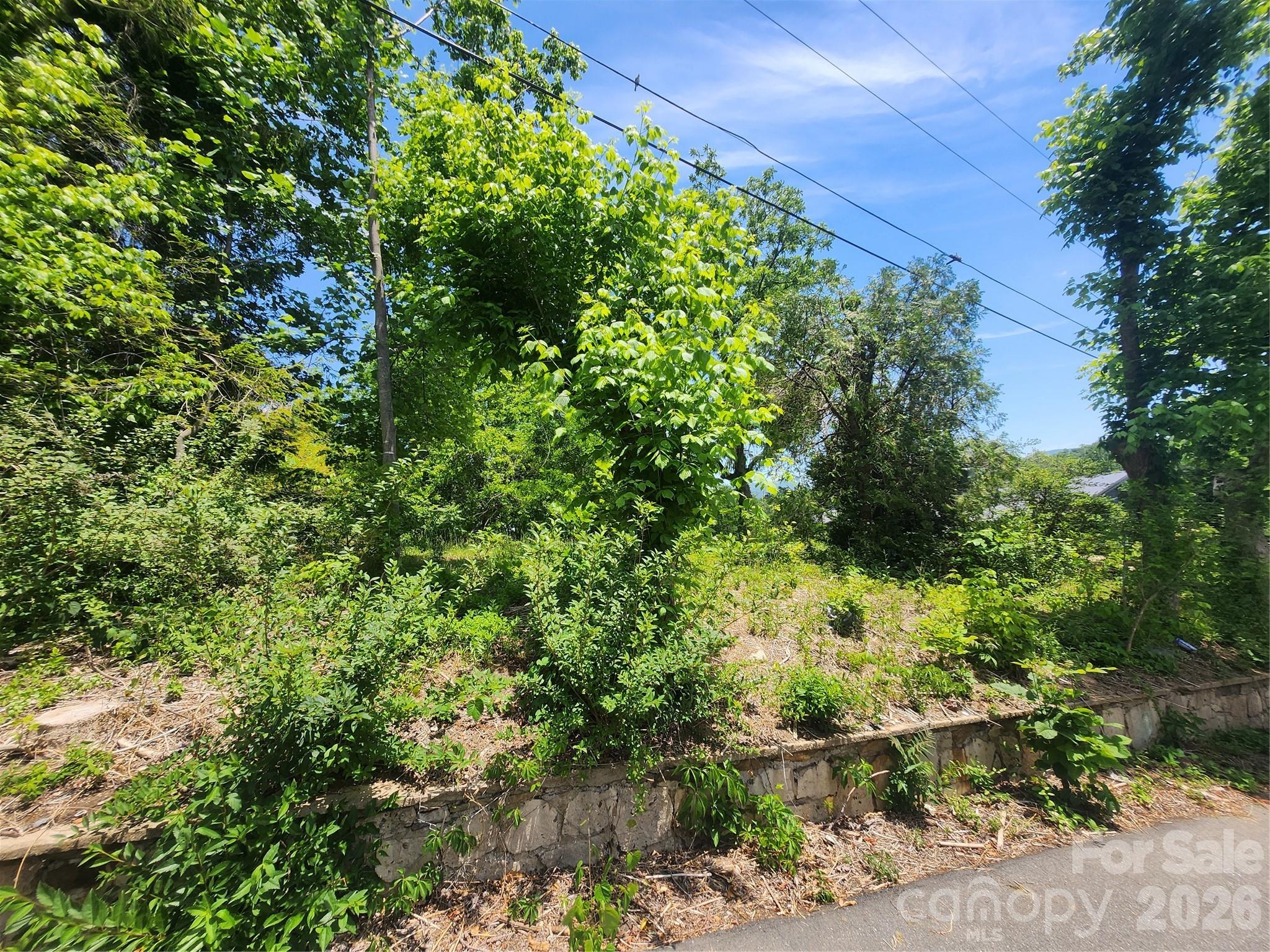 11 Weaver Hill Road Property Photo 4