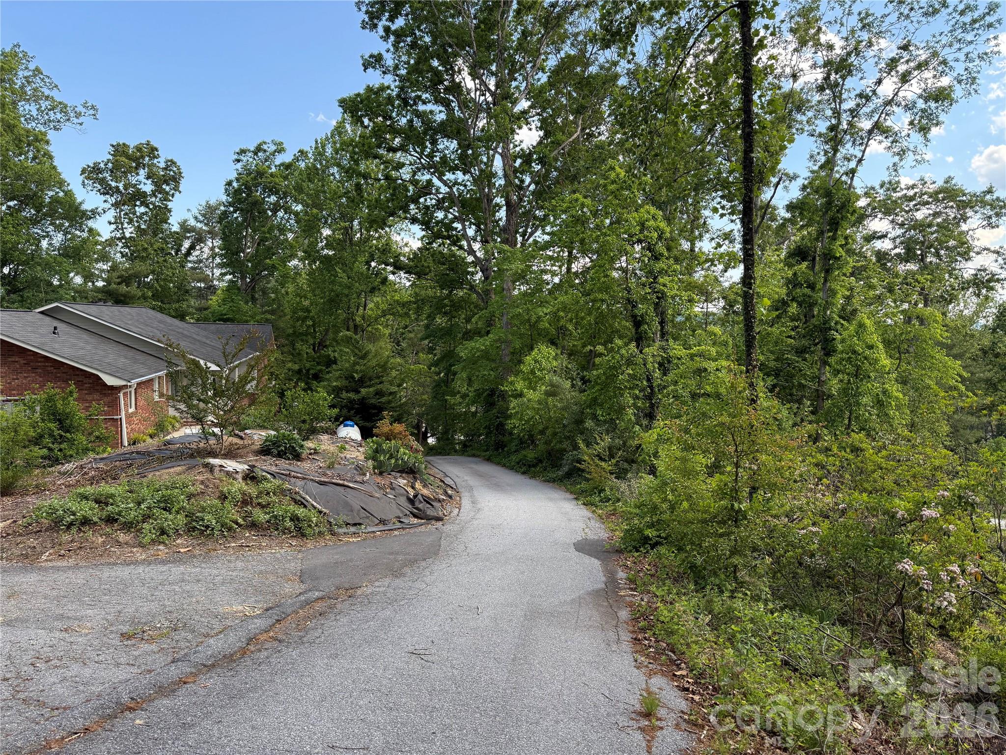 53 Will Road 2 Property Photo 2