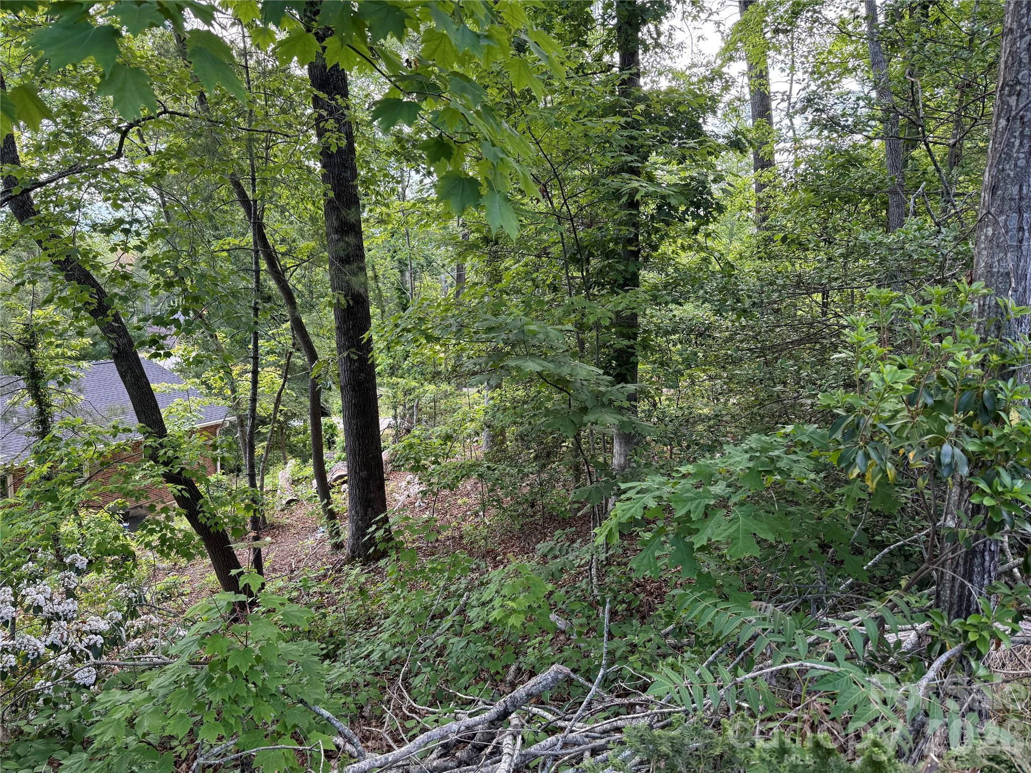 53 Will Road 2 Property Photo 4