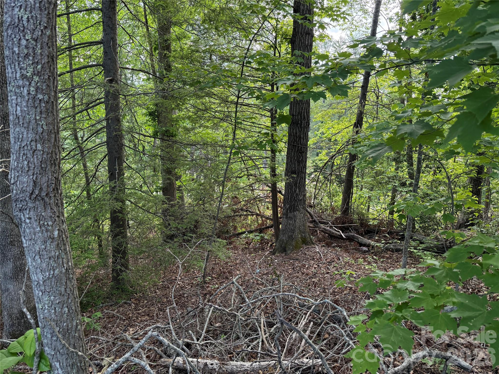 53 Will Road 2 Property Photo 5