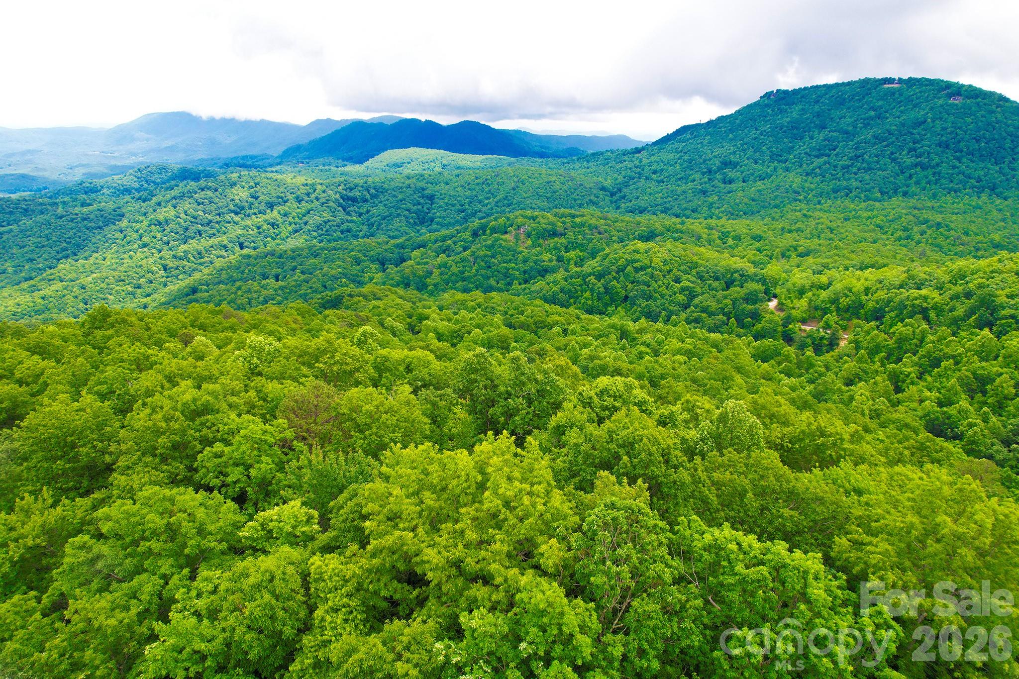 215 Laurel Mountain Trail 10