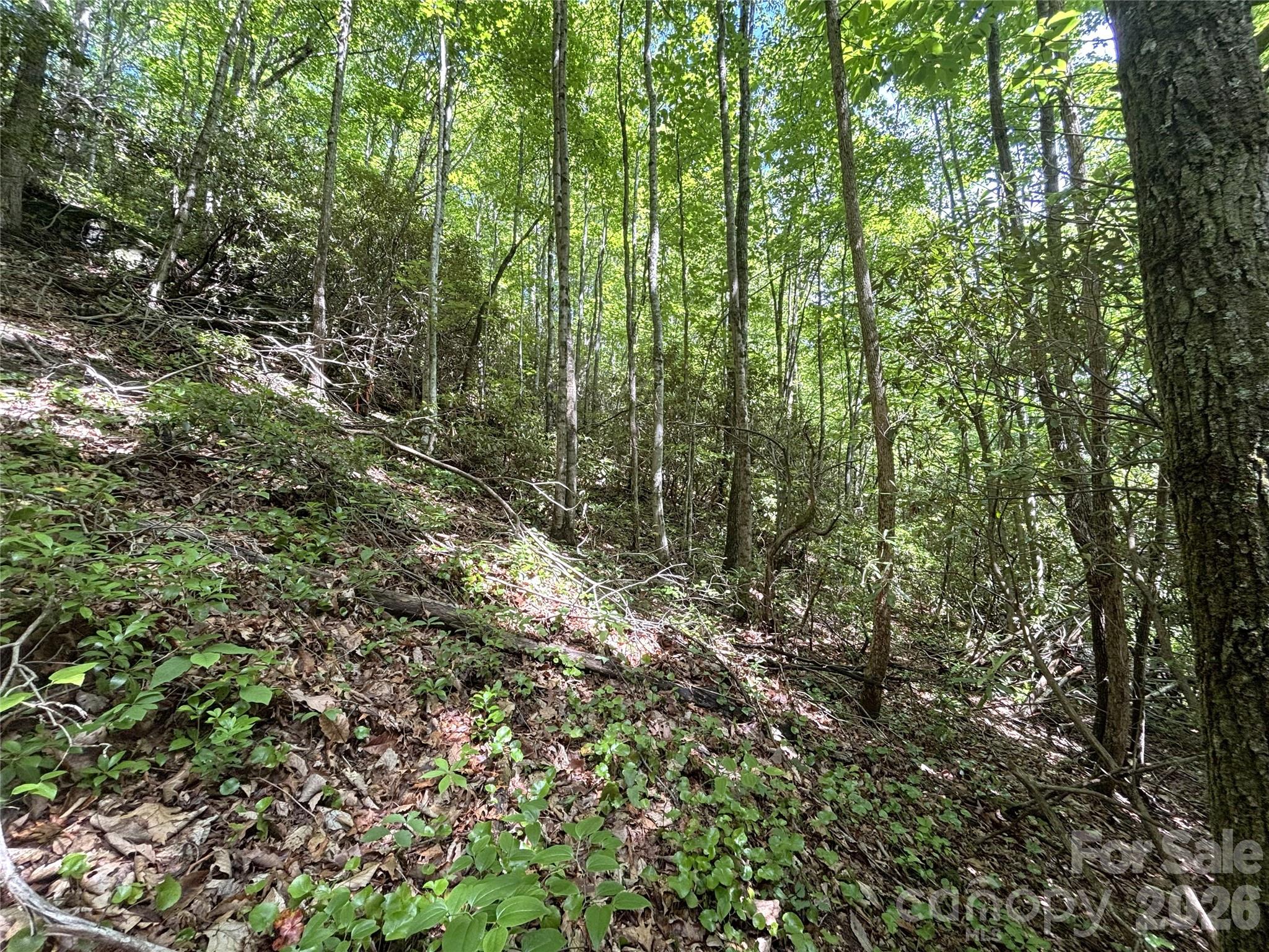 000 Valley View Drive Property Photo 5