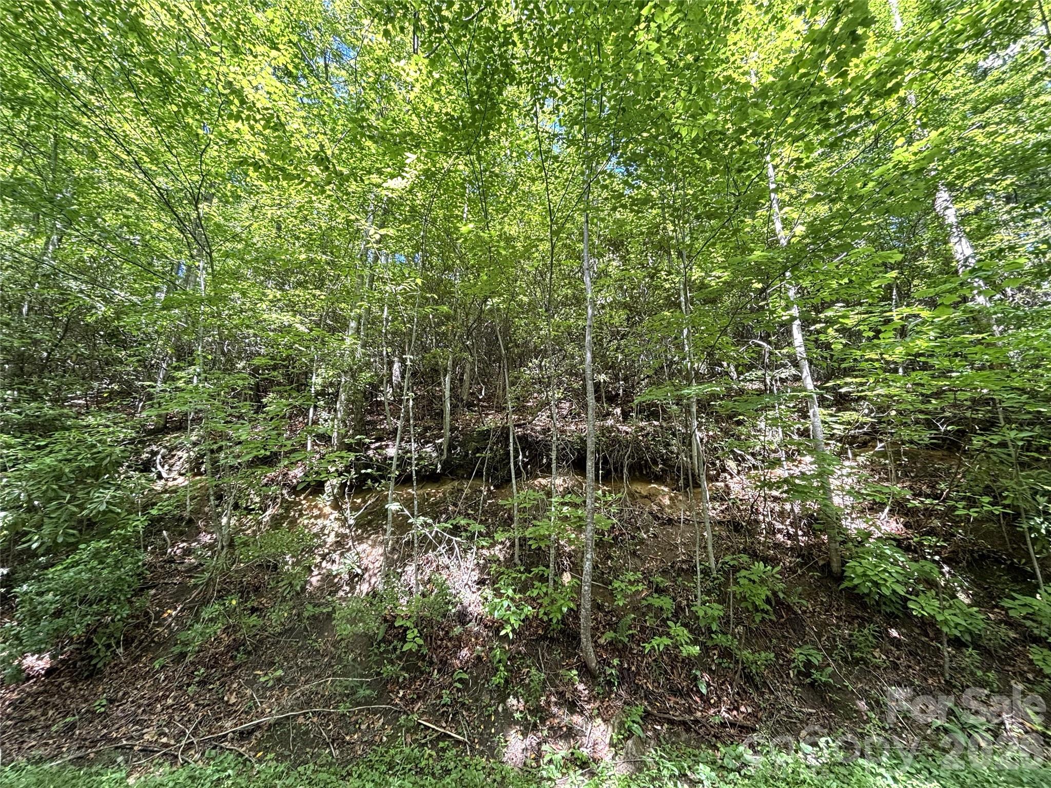 000 Valley View Drive Property Photo 16