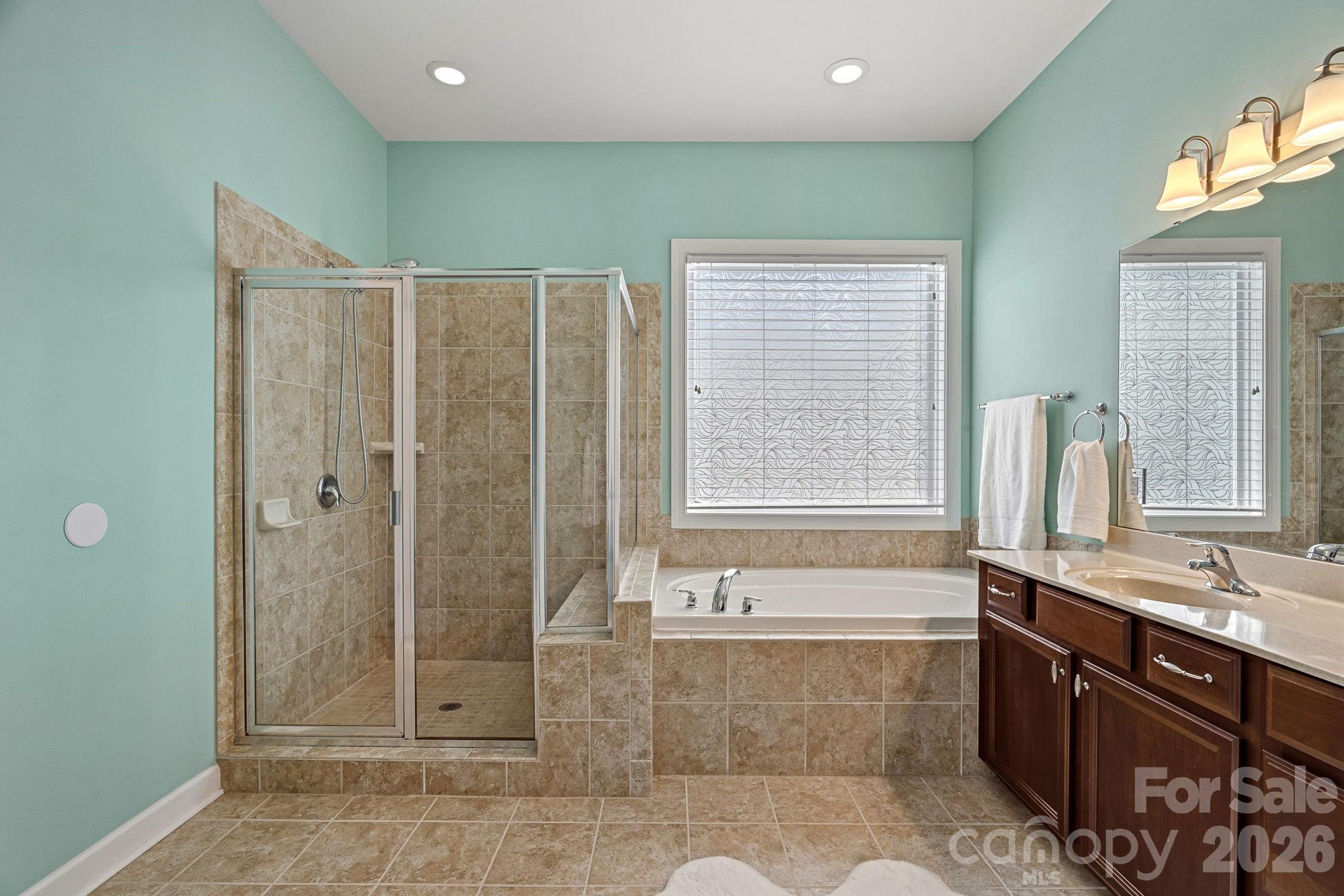 10654 Rippling Stream Drive Property Photo 24
