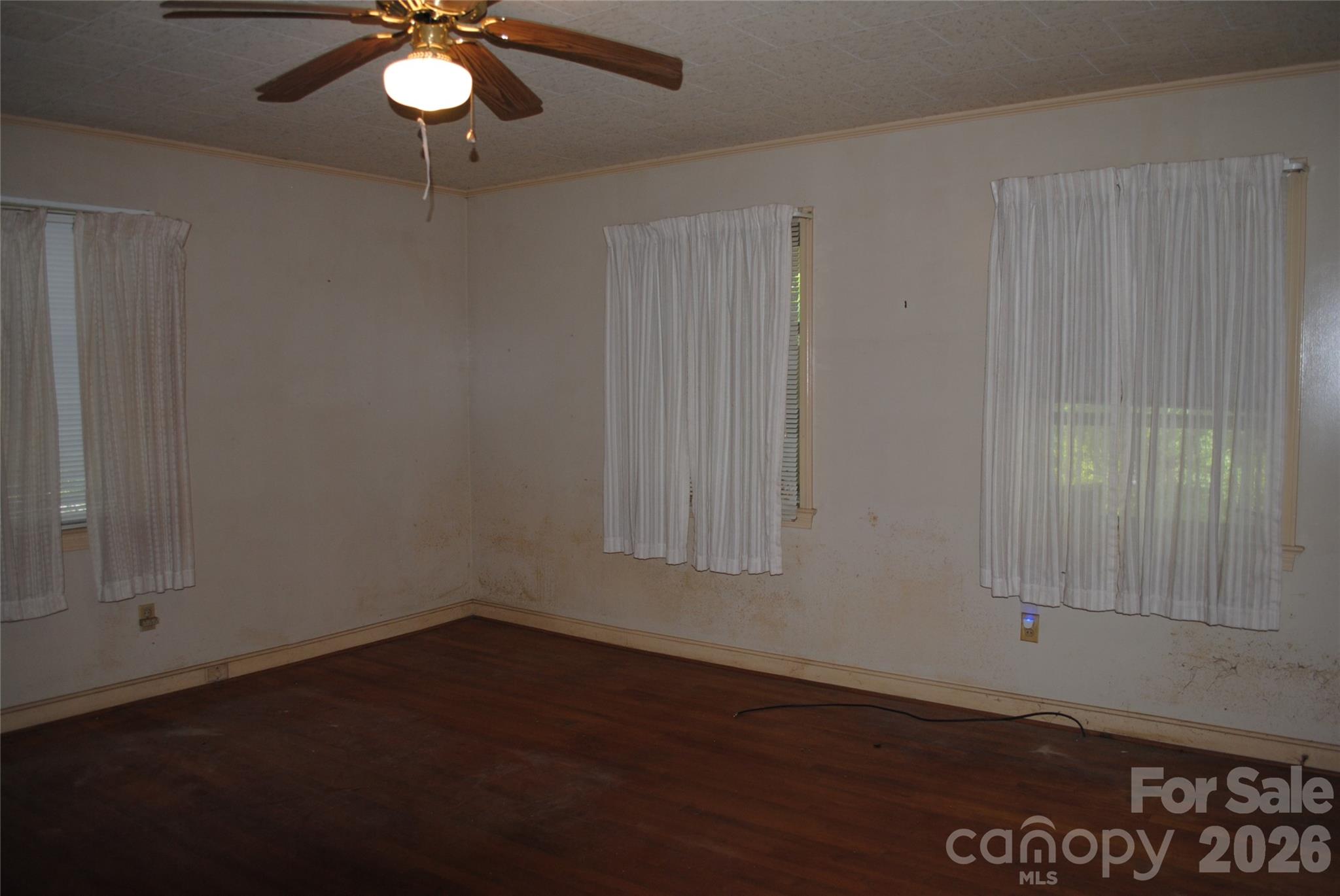 153 & 135 Caroleen Street Property Photo 33