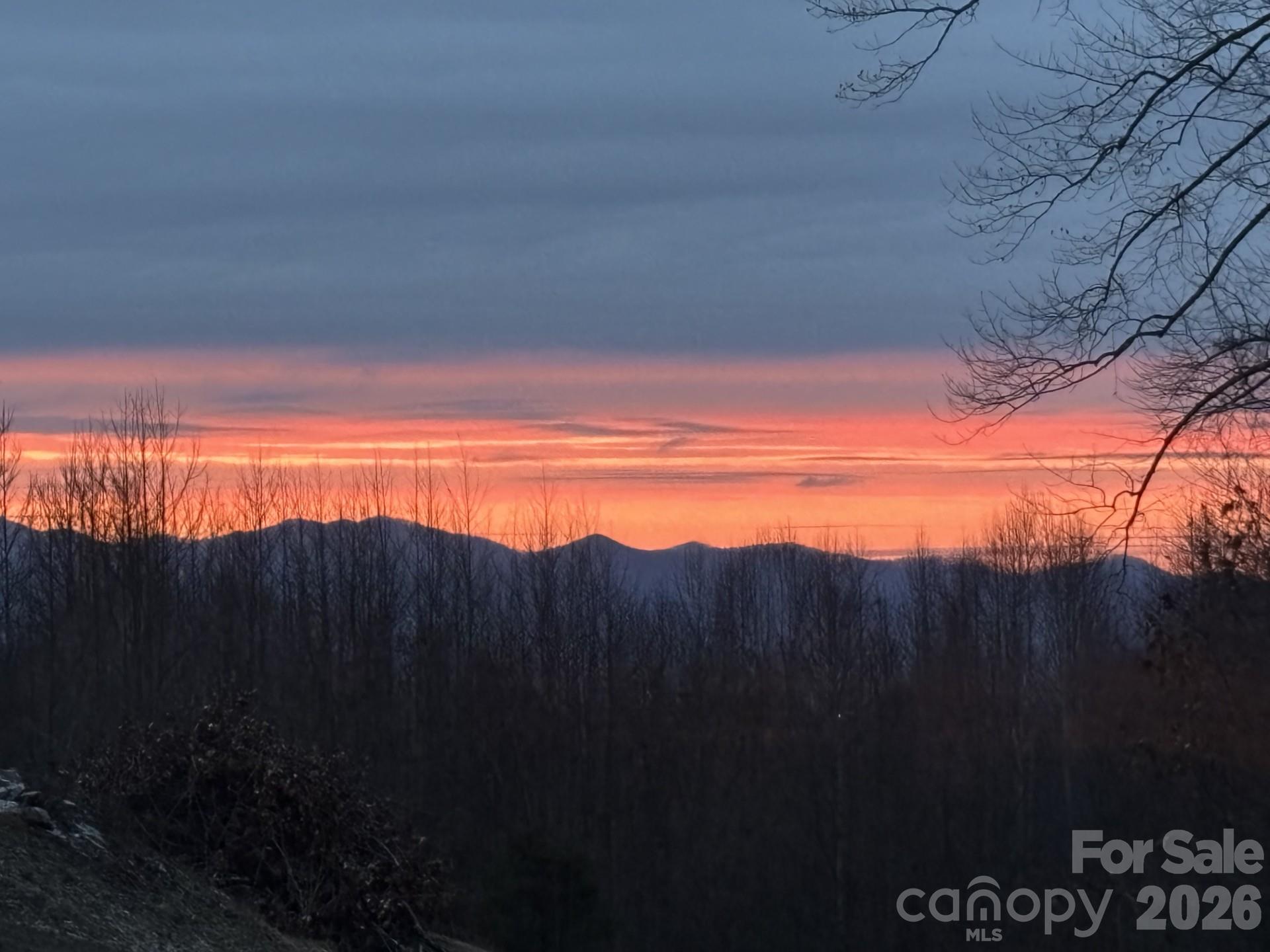67 Reeses Ridge Court Property Photo 3
