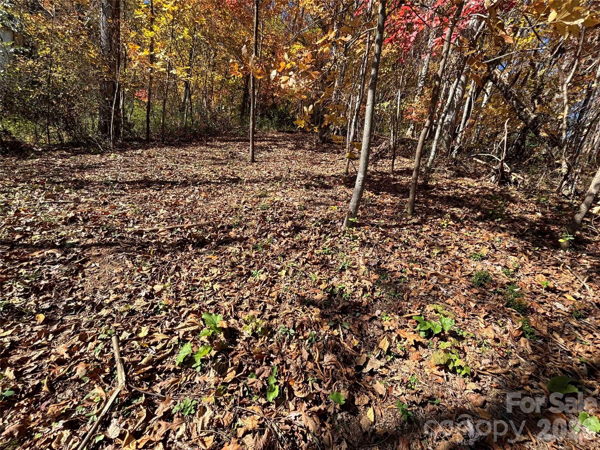 20 La Grange Drive Property Photo 15