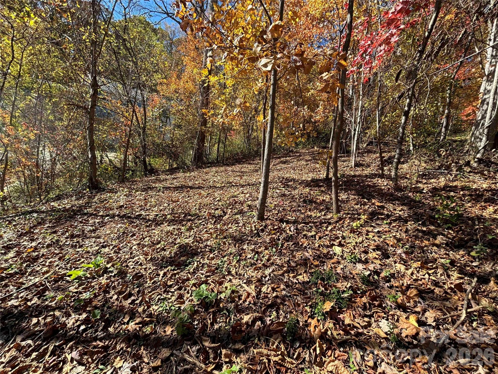 20 La Grange Drive Property Photo 16