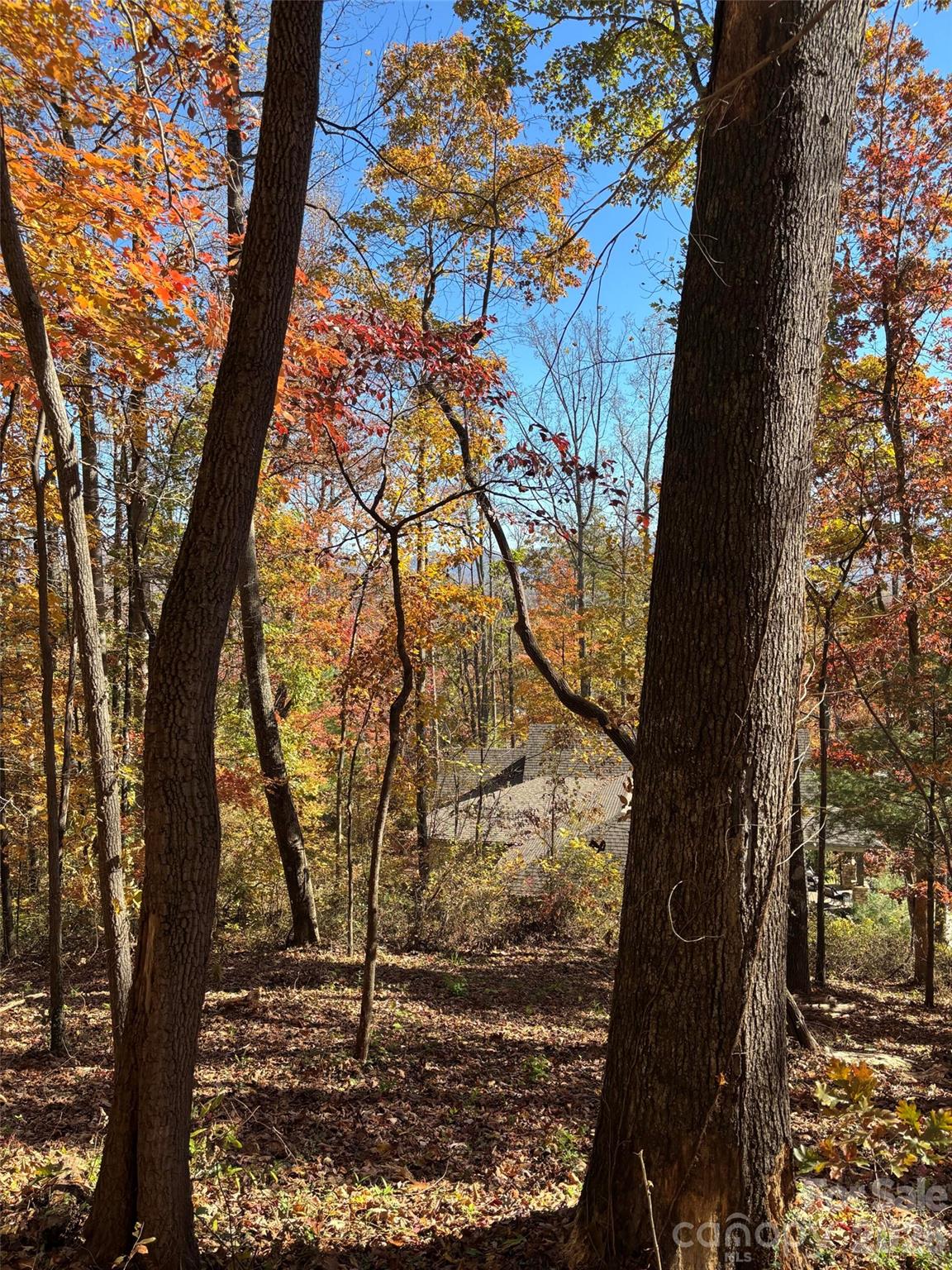 20 La Grange Drive Property Photo 18