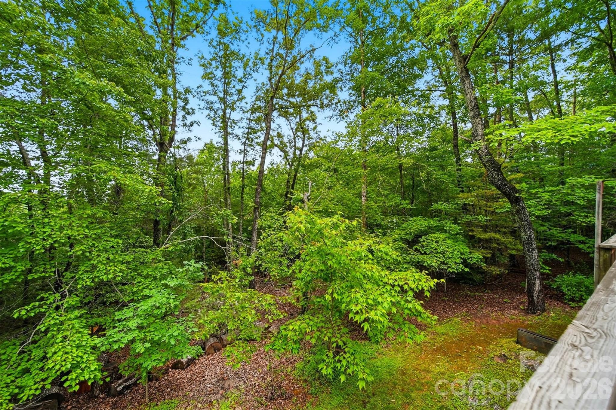 104 Laurelwood Drive Property Photo 29