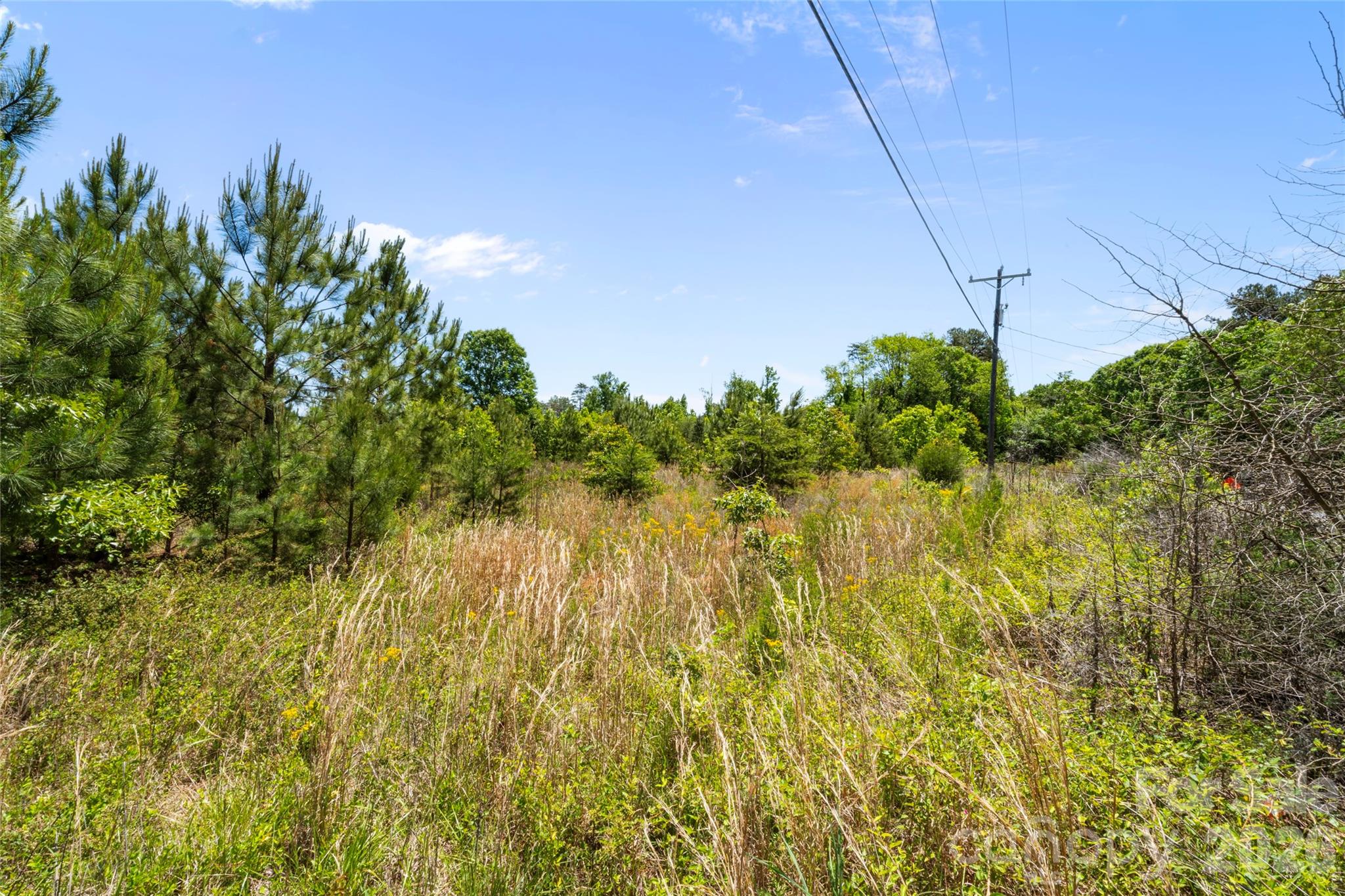 00 Falls Ferguson Road Property Photo 2