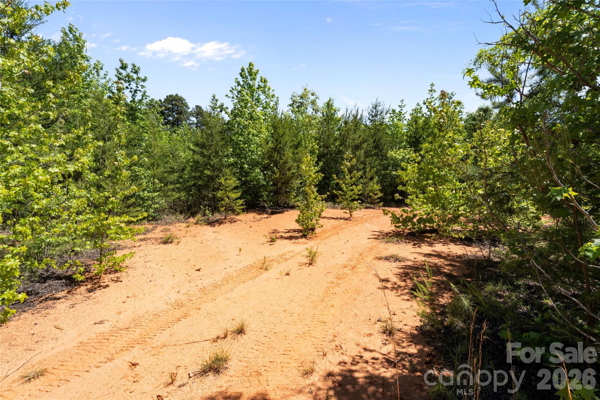 00 Falls Ferguson Road Property Photo 6