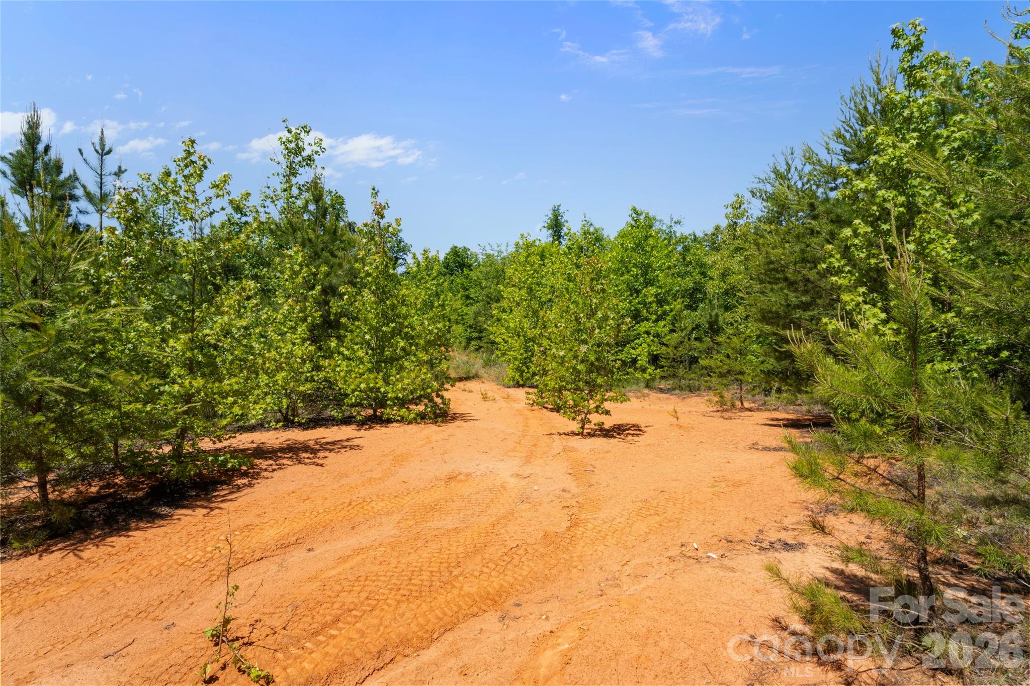 00 Falls Ferguson Road Property Photo 16