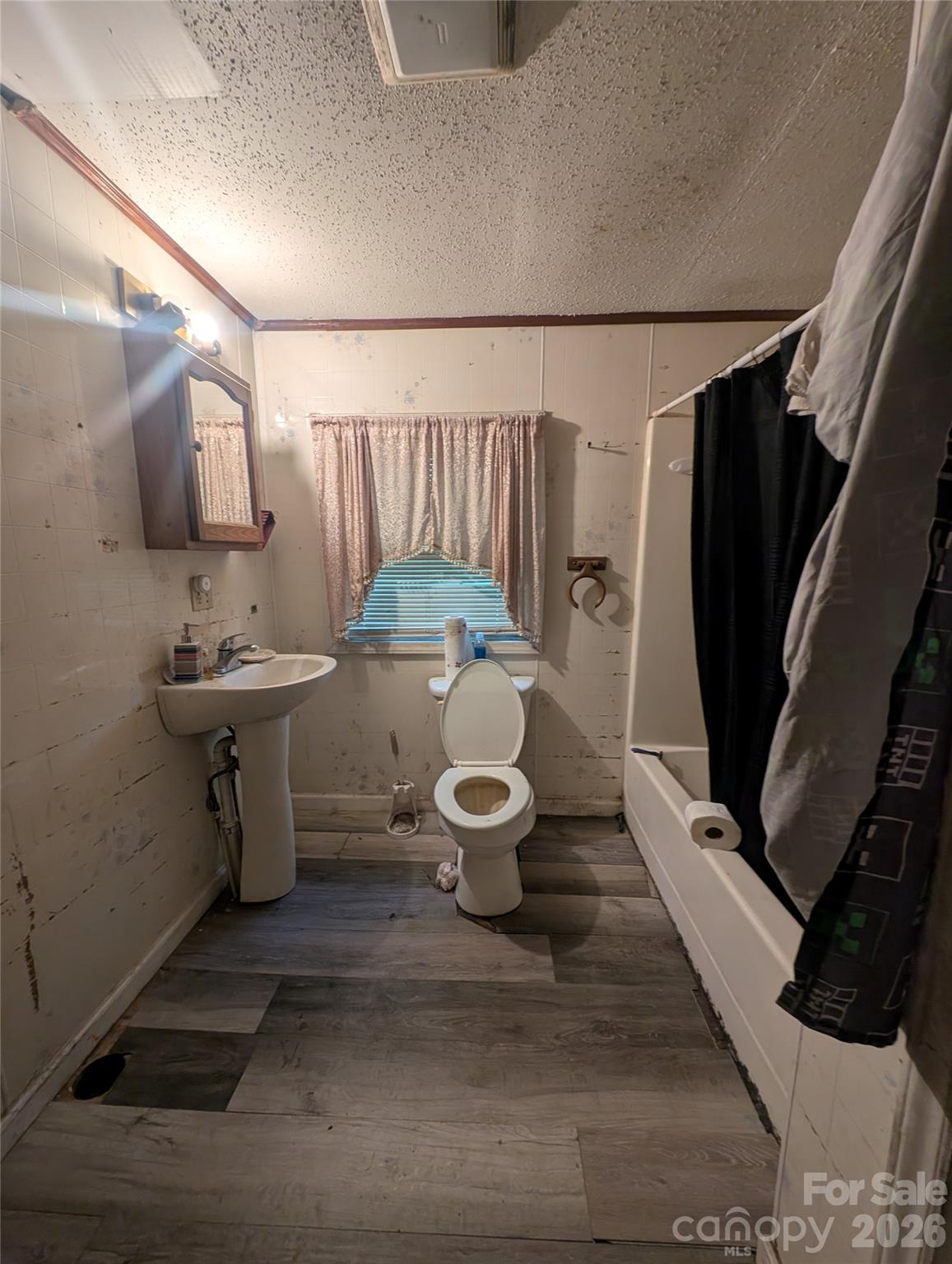 1218-b Essex Street Property Photo 22
