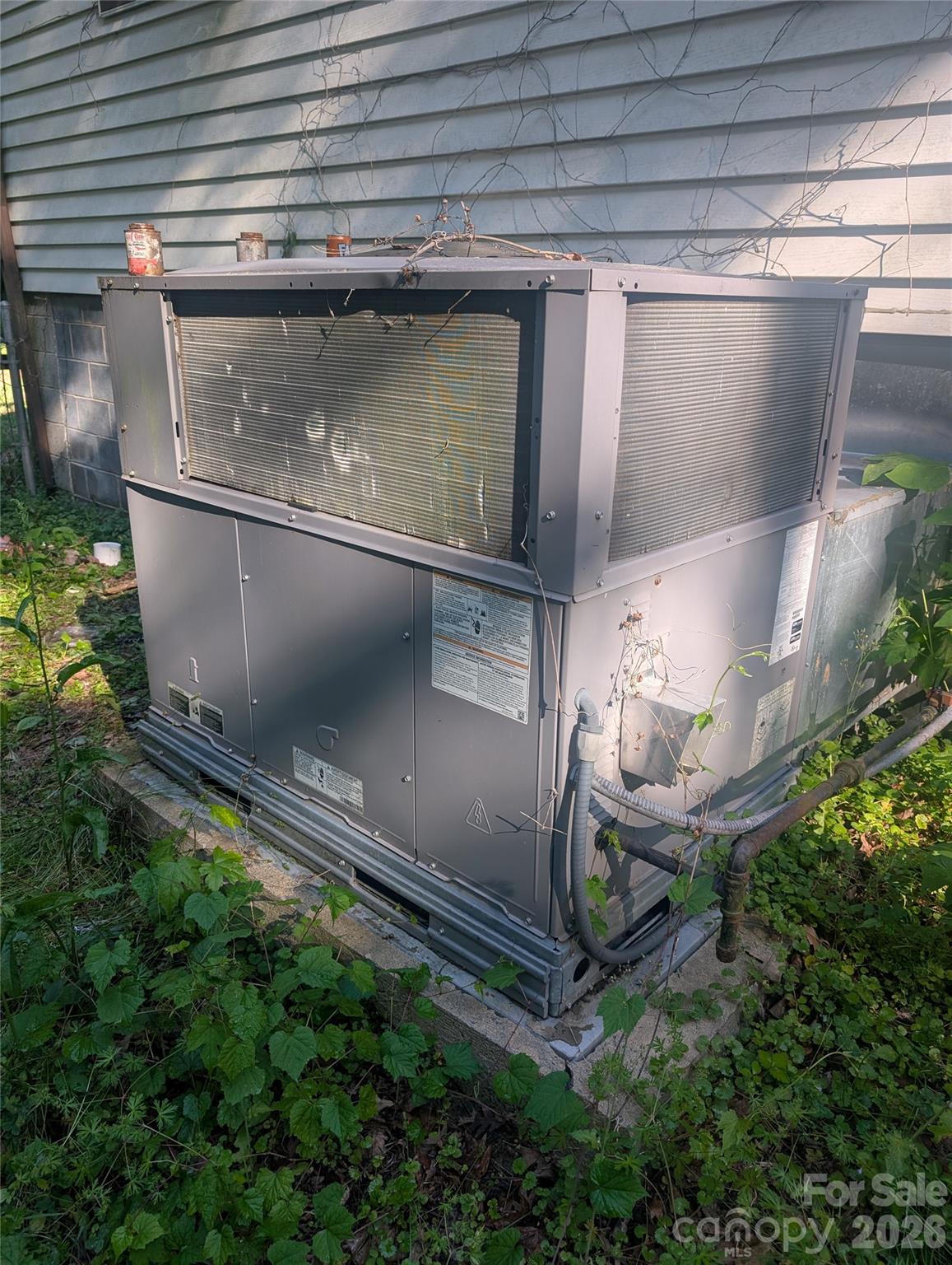 1218-b Essex Street Property Photo 38