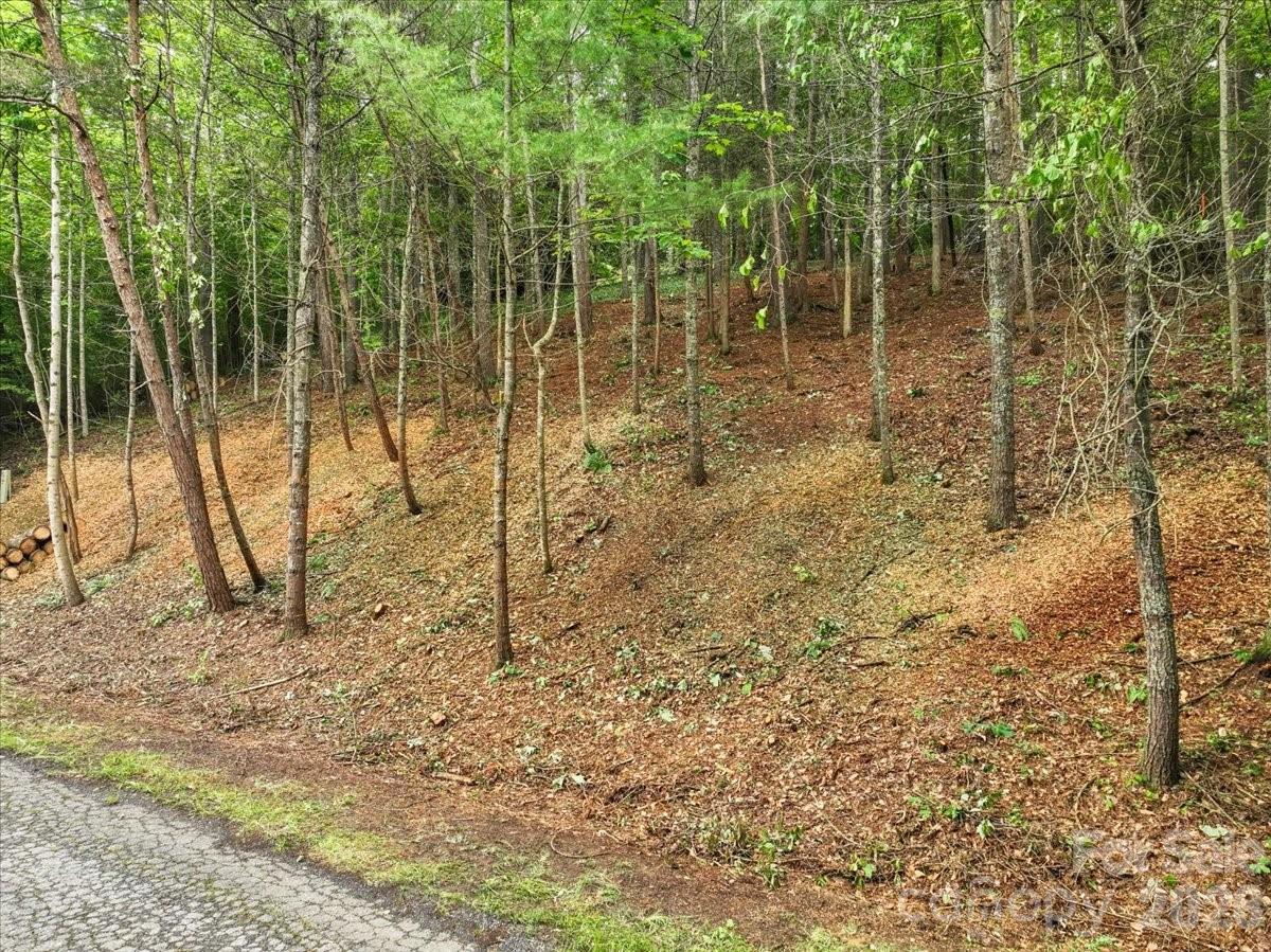 Lot 29 Hampton Lane Property Photo 3