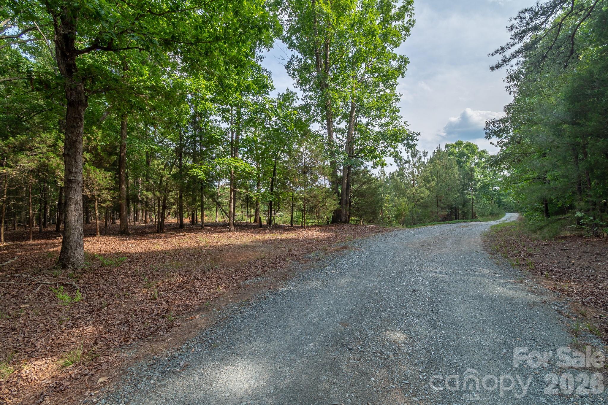 8706 Tirzah Church Road Property Photo 4