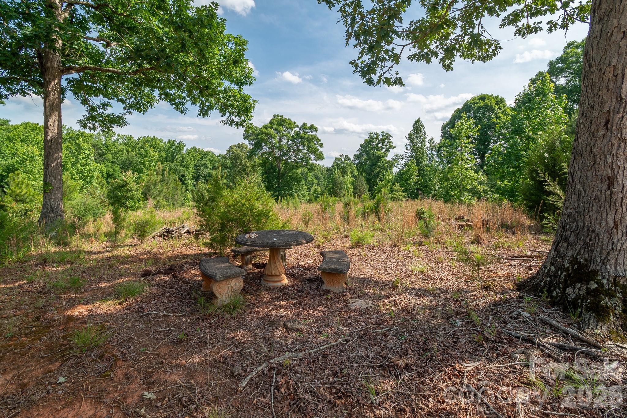 8706 Tirzah Church Road Property Photo 5