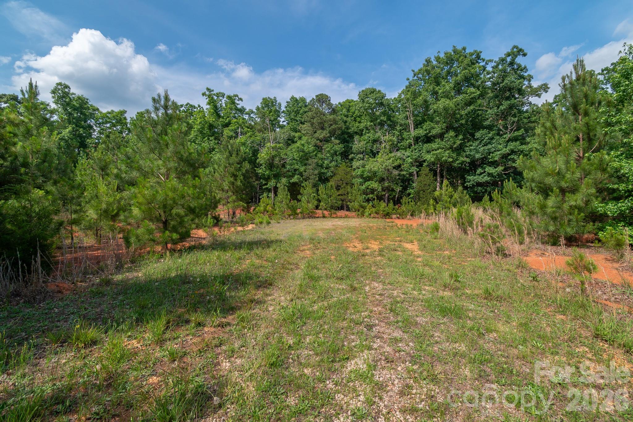 8706 Tirzah Church Road Property Photo 7