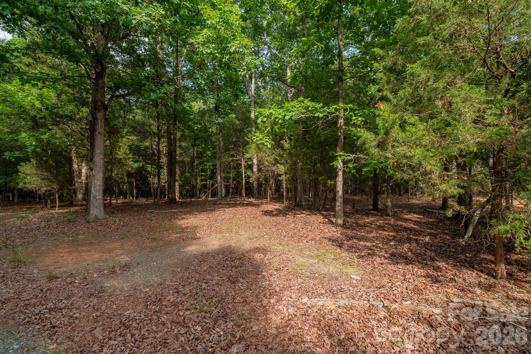 8706 Tirzah Church Road Property Photo 9