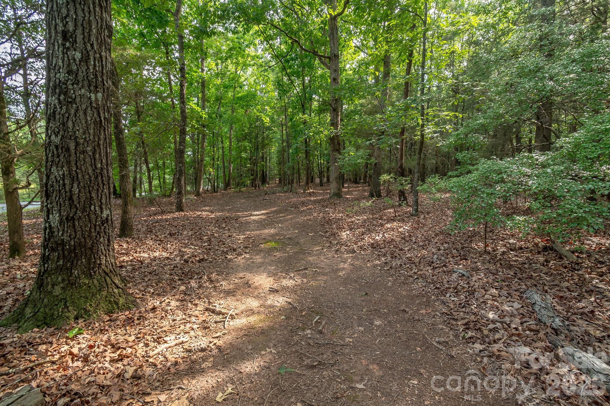 8706 Tirzah Church Road Property Photo 10