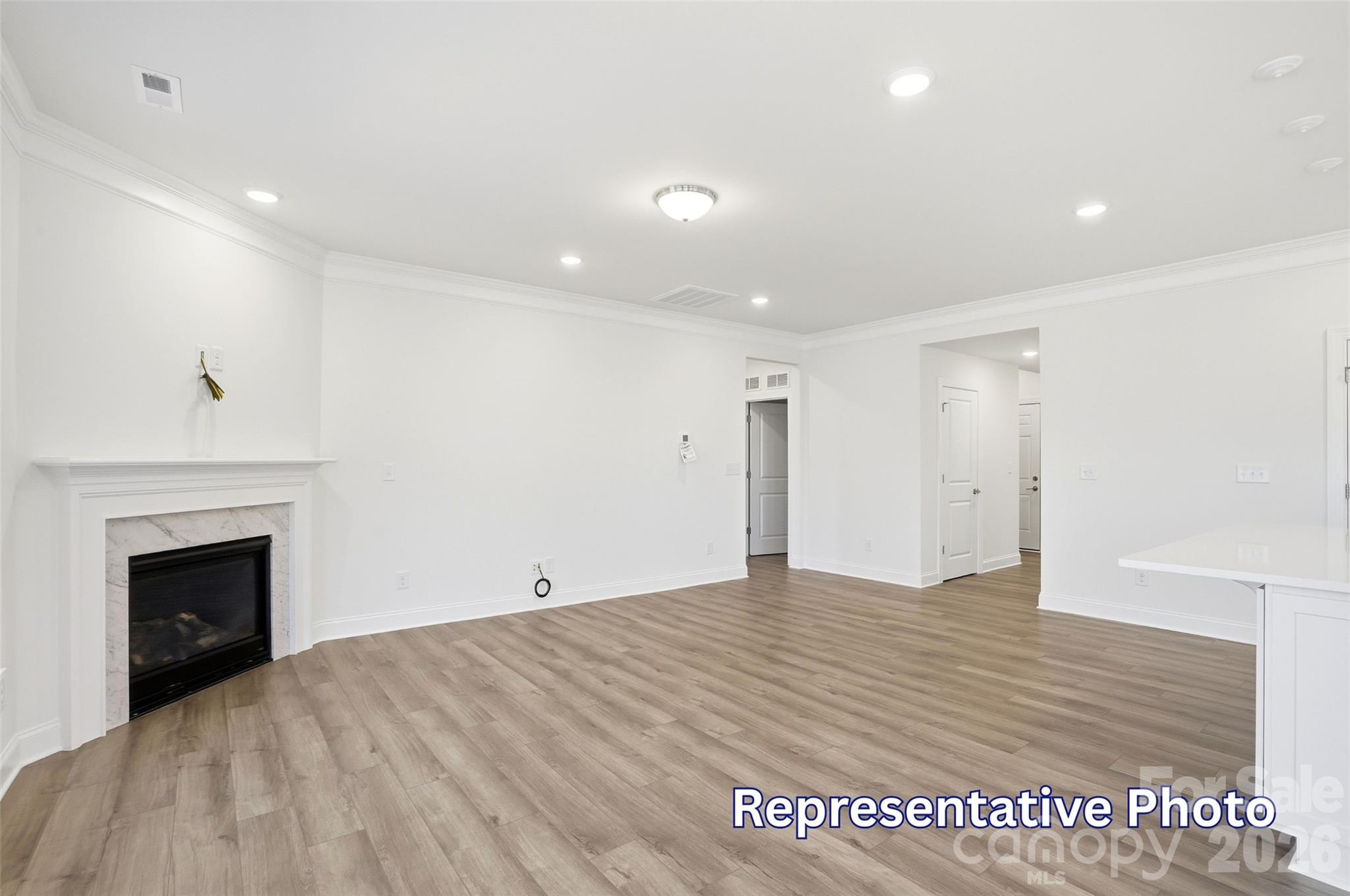 2768 Ashton Park Lane Property Photo 8