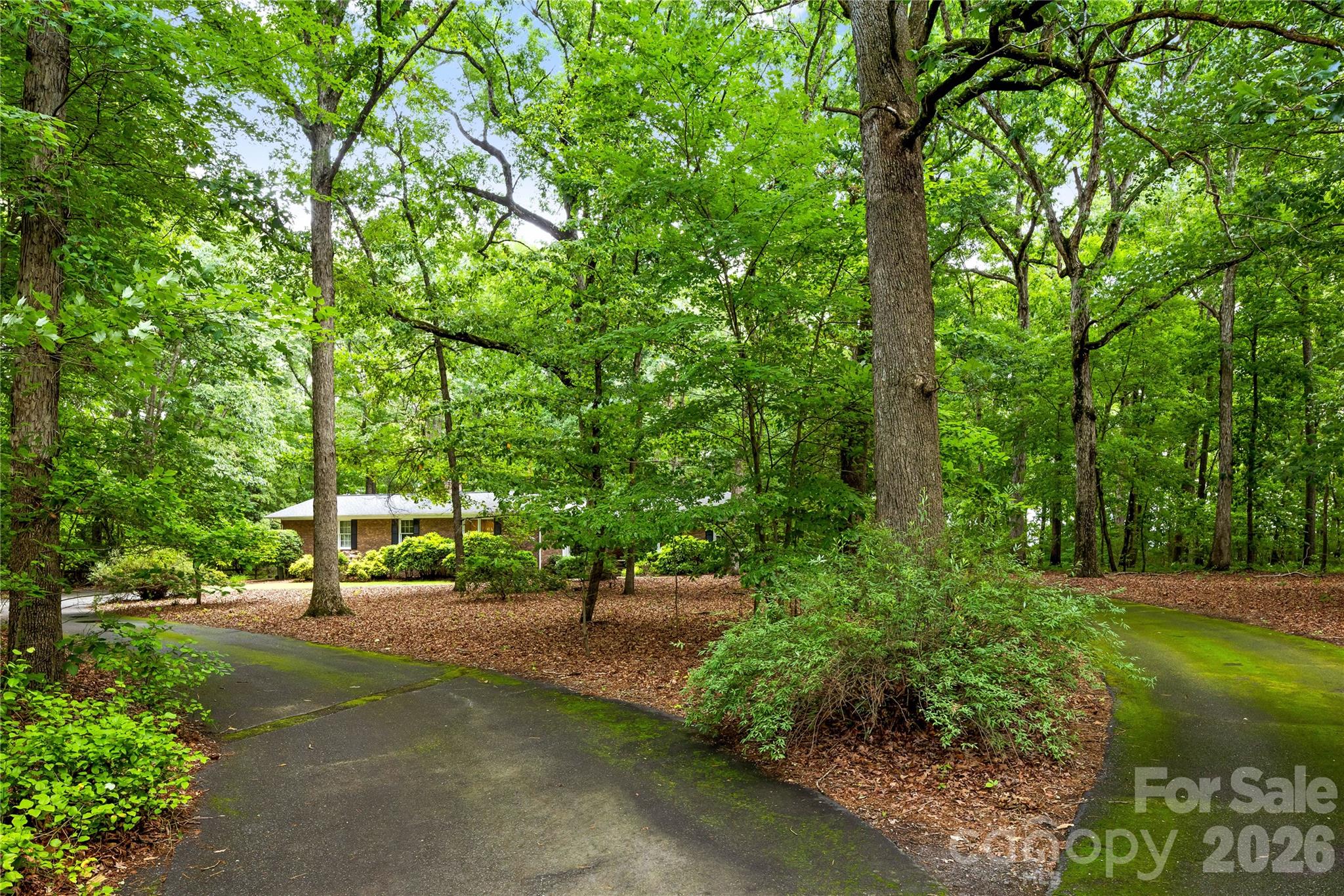 2038 Skyway Drive Property Photo 5