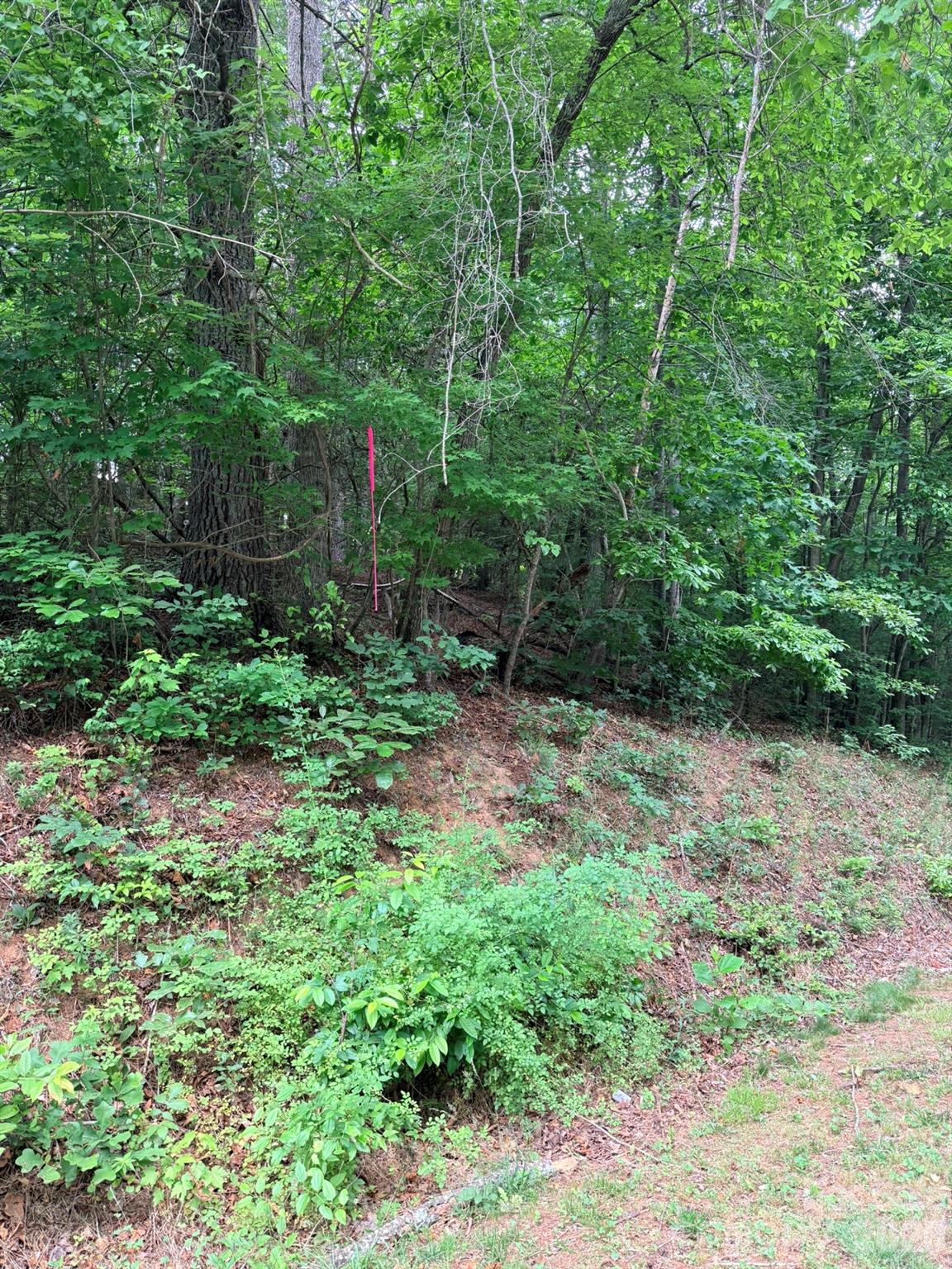 Tbd N Marley Ford Road Property Photo 1